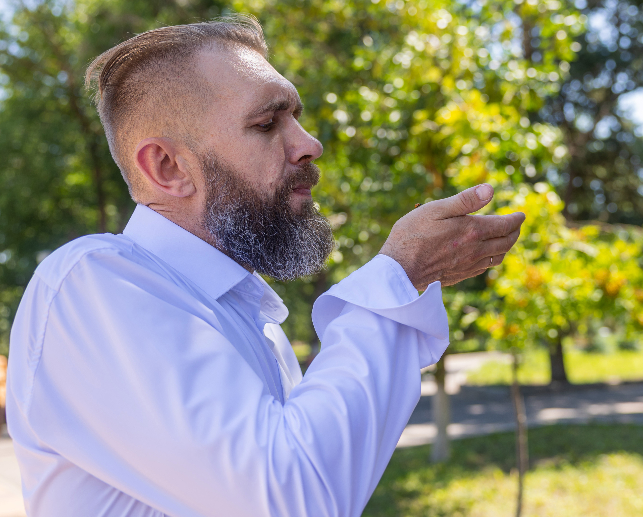 Свадьба Алексея и Алёны. Фотограф Петров Александр Свадьбы, Съемка в студии, Выпускные альбомы г. Балашов