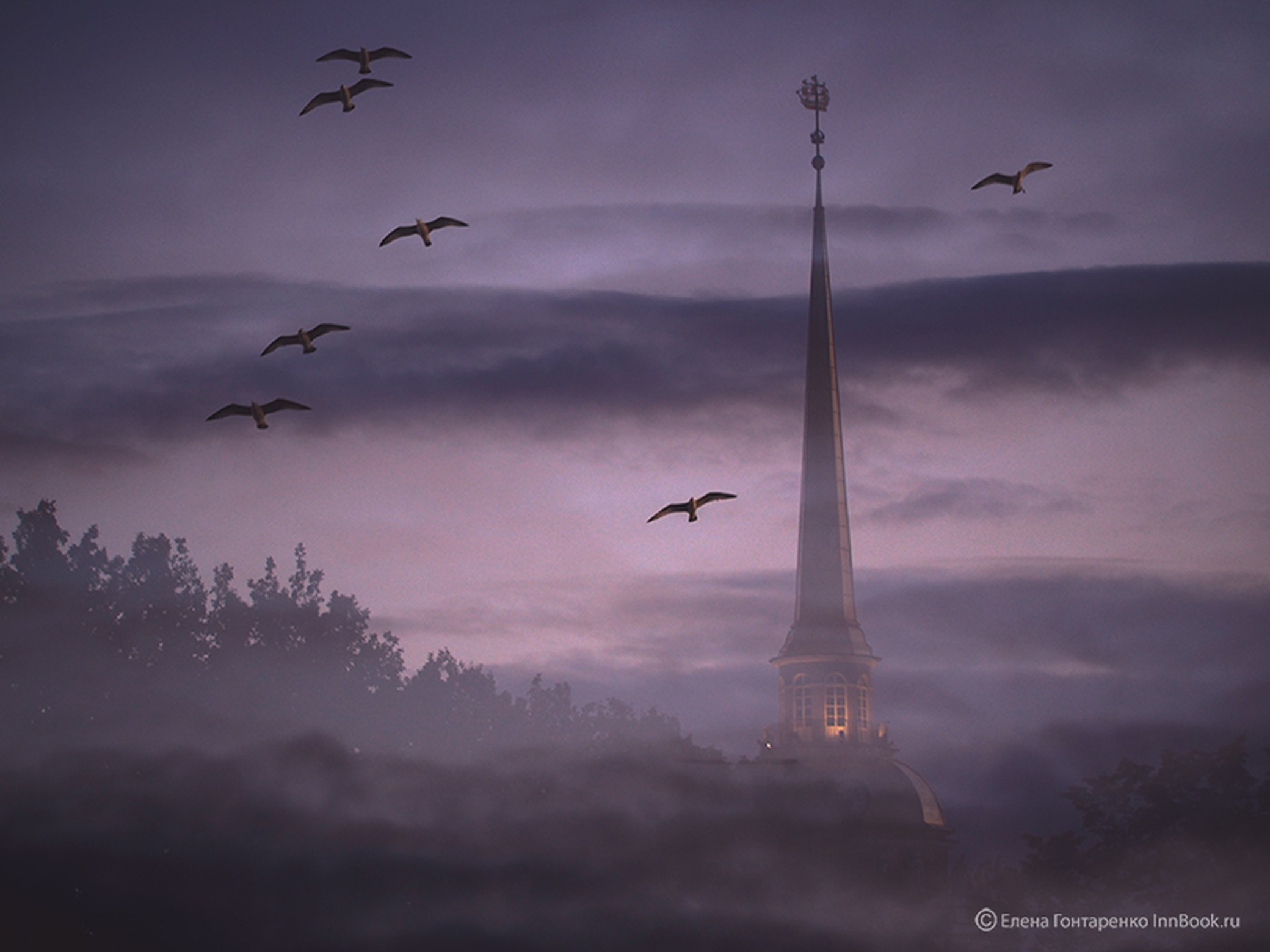 Елена Гонтаренко — художественный портрет. Фотограф в России, Семейный фотограф, репортажный фотограф, детский фотограф, портретный фотограф, контент фотограф, универсальный фотограф