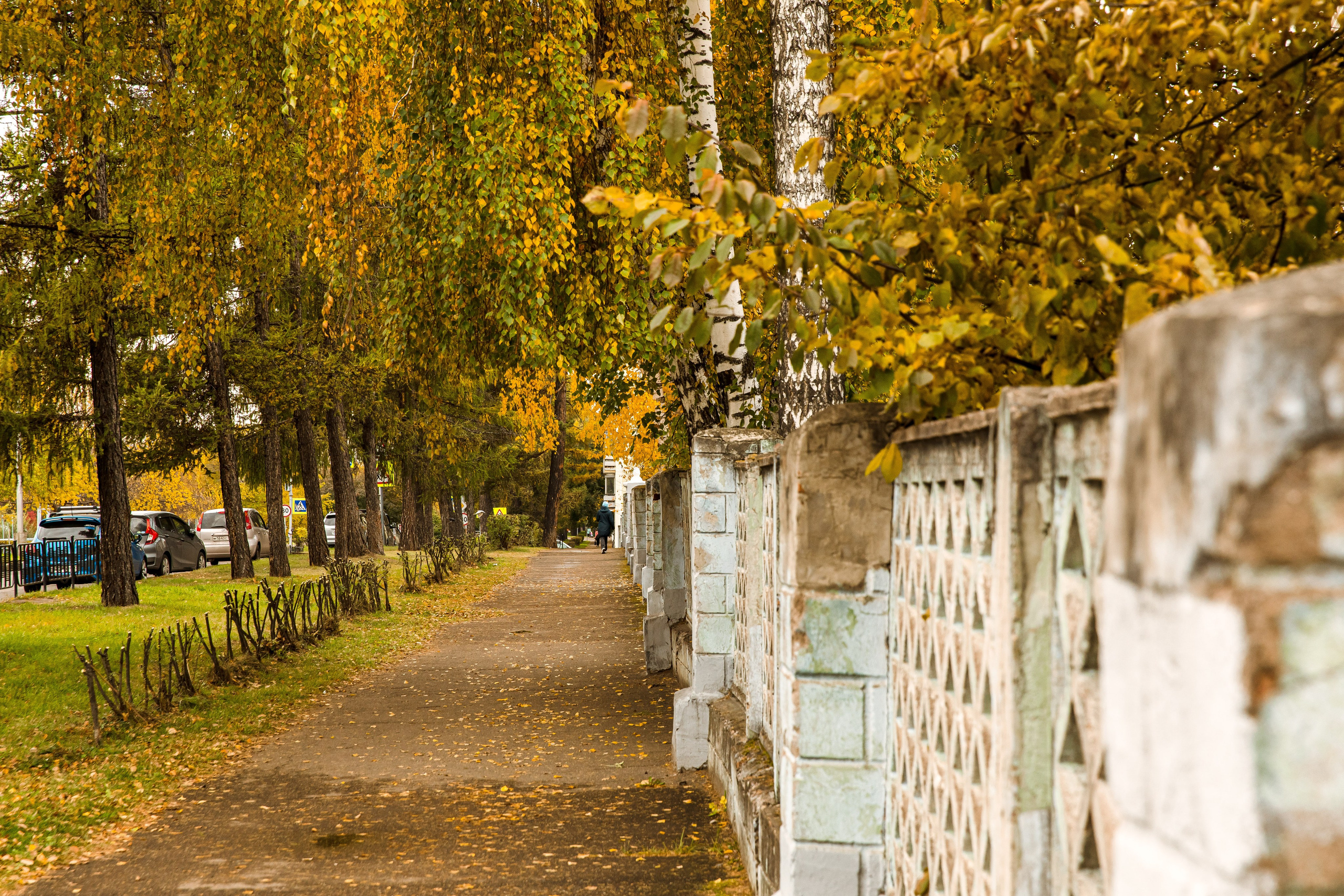 Осень в парке. Семейный и детский фотограф в Железногорске Саламахо Ольга