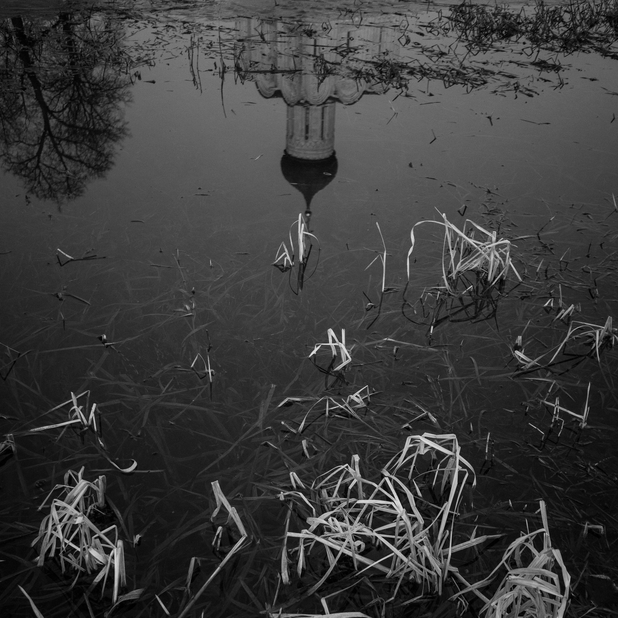 Прогулки по Суздальскому княжеству. Paintings by the artist Sergey Ratchin