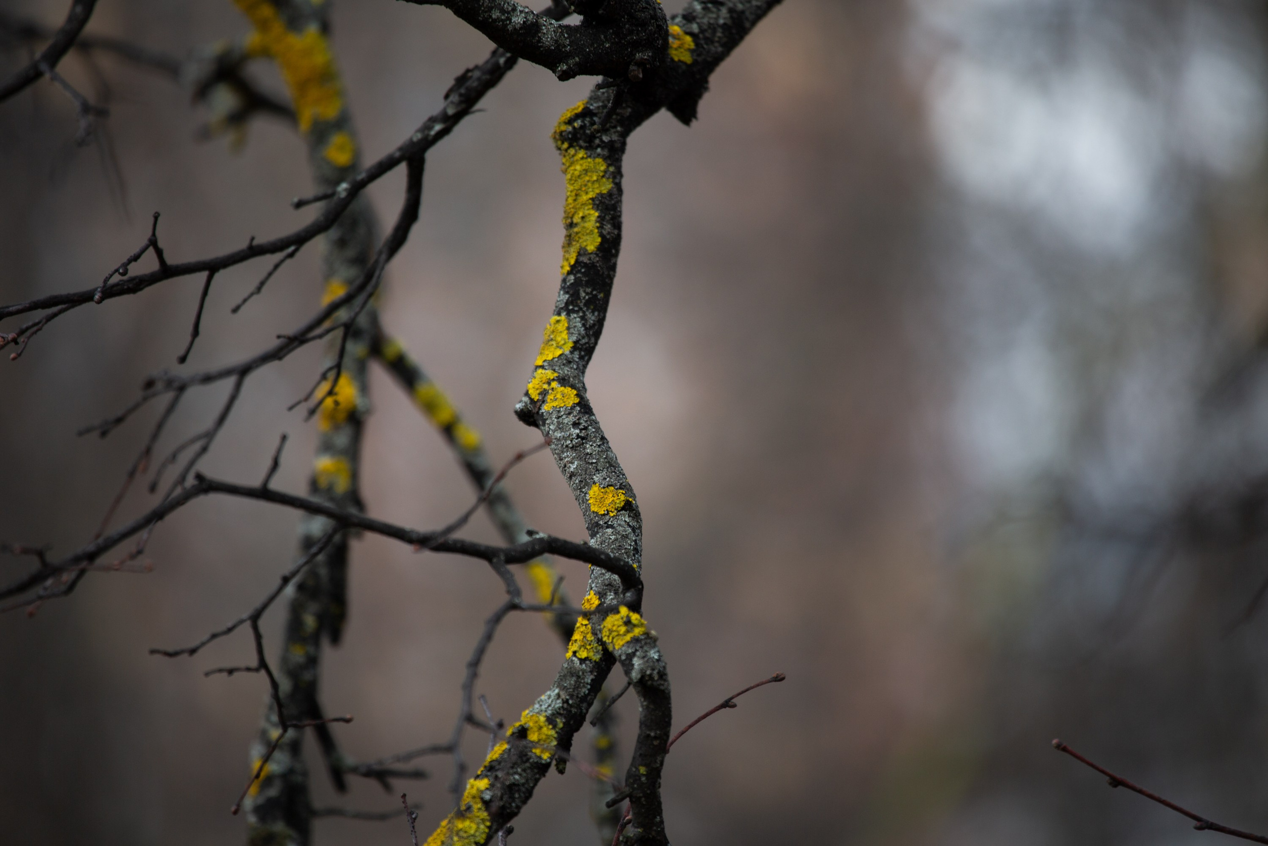 Весенняя фотопрогулка. Главная