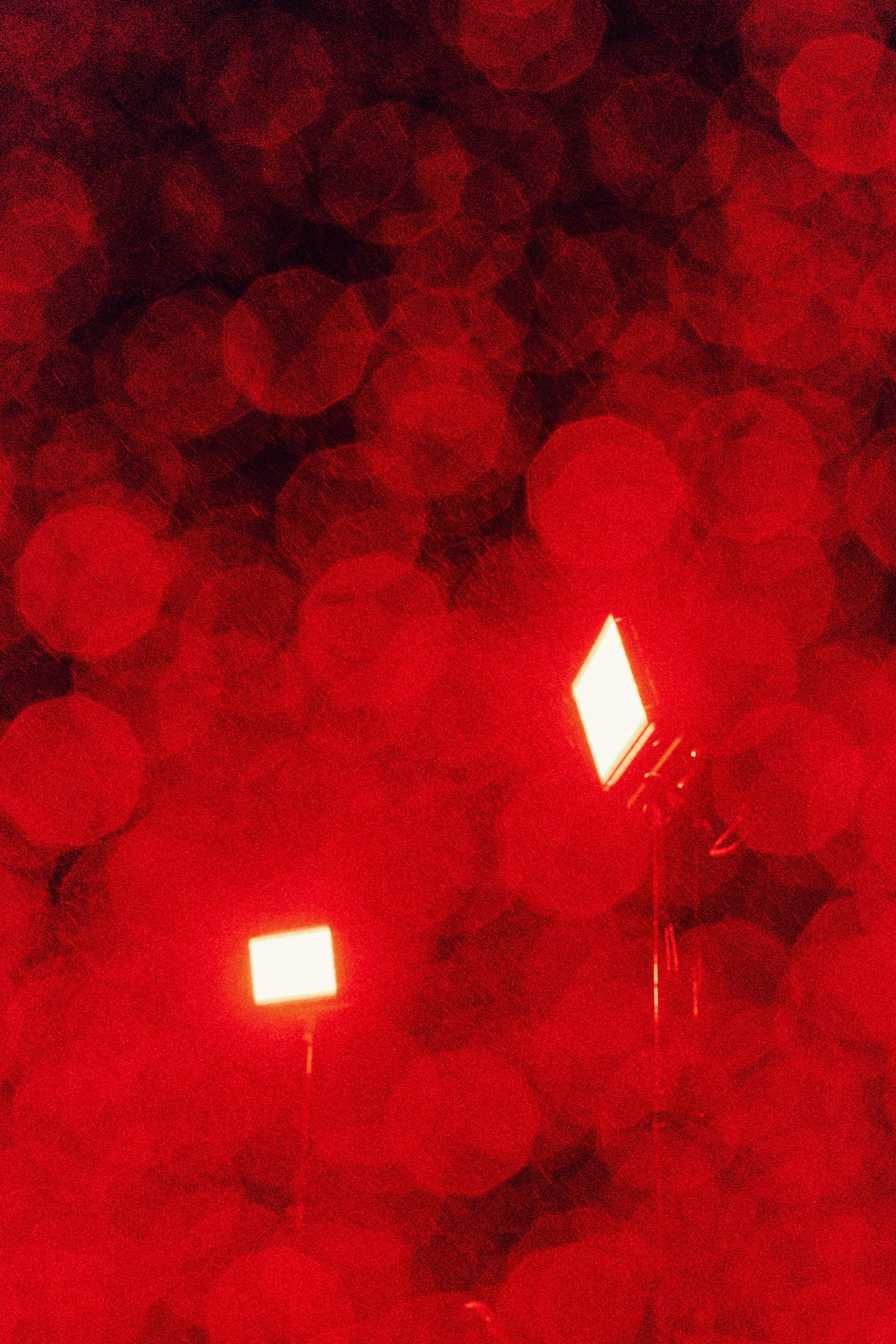 Виолетта и Александр. Свадебный и семейный фотограф в Иваново и Москве Мильков Вадим