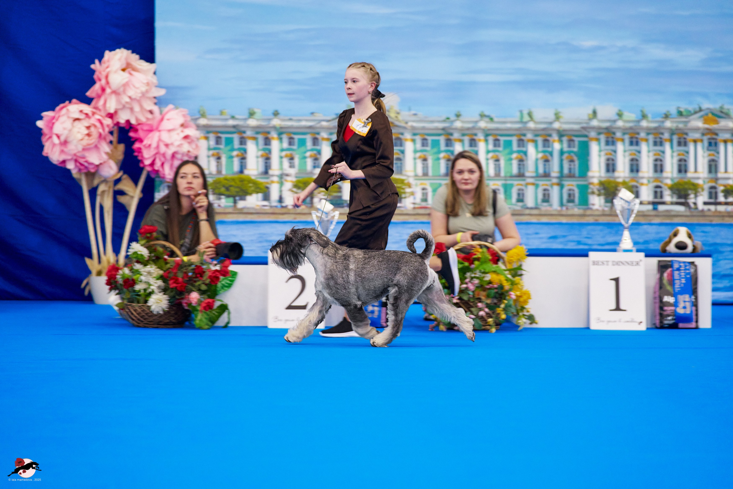 ГРАН ПРИ «ВЕСЕННИЙ ПЕТЕРБУРГ» & «СУПЕР КУБОК «ЭЛИТЫ»-2025»