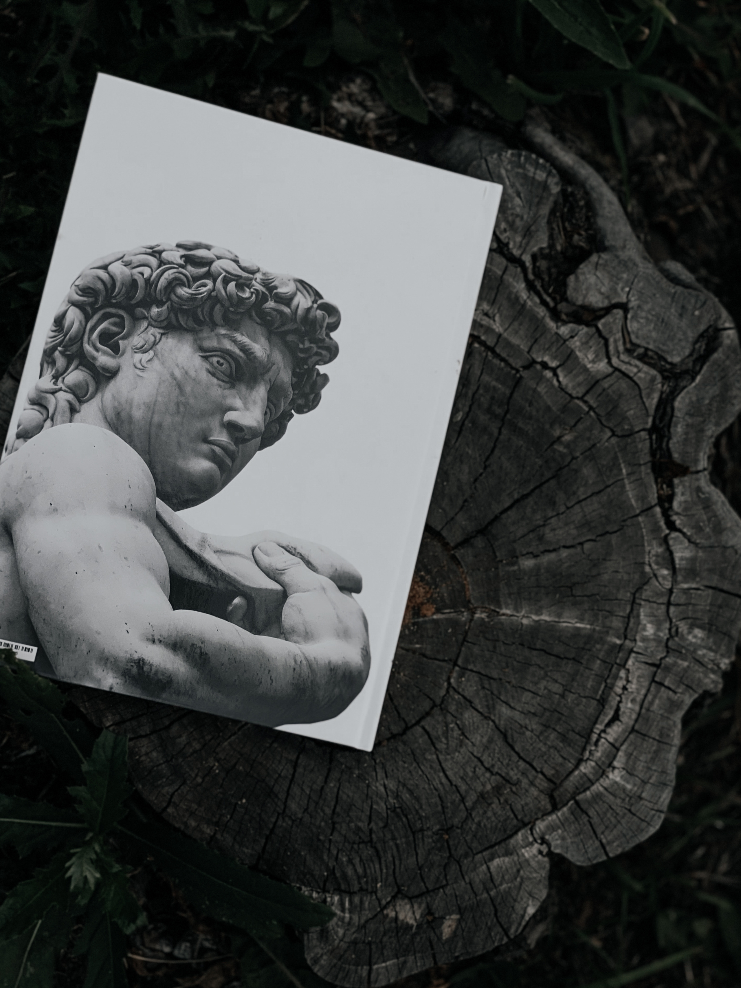 ВЫПУСКНЫЕ АЛЬБОМЫ. Фотограф в Киселёвске Татьяна Трухалева