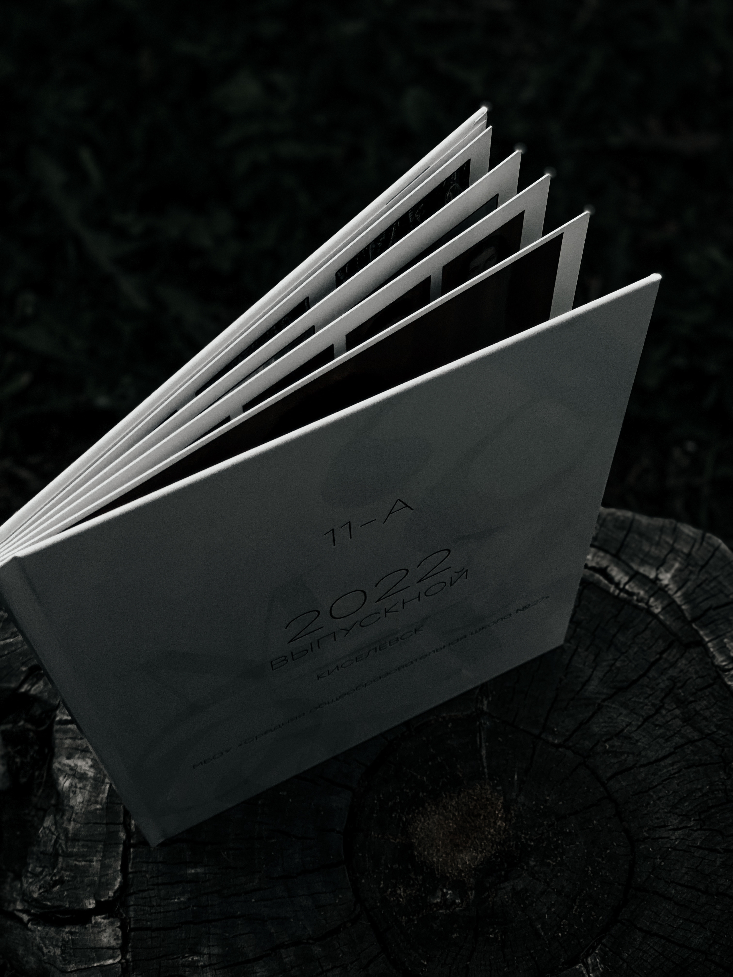 ВЫПУСКНЫЕ АЛЬБОМЫ. Фотограф в Киселёвске Татьяна Трухалева