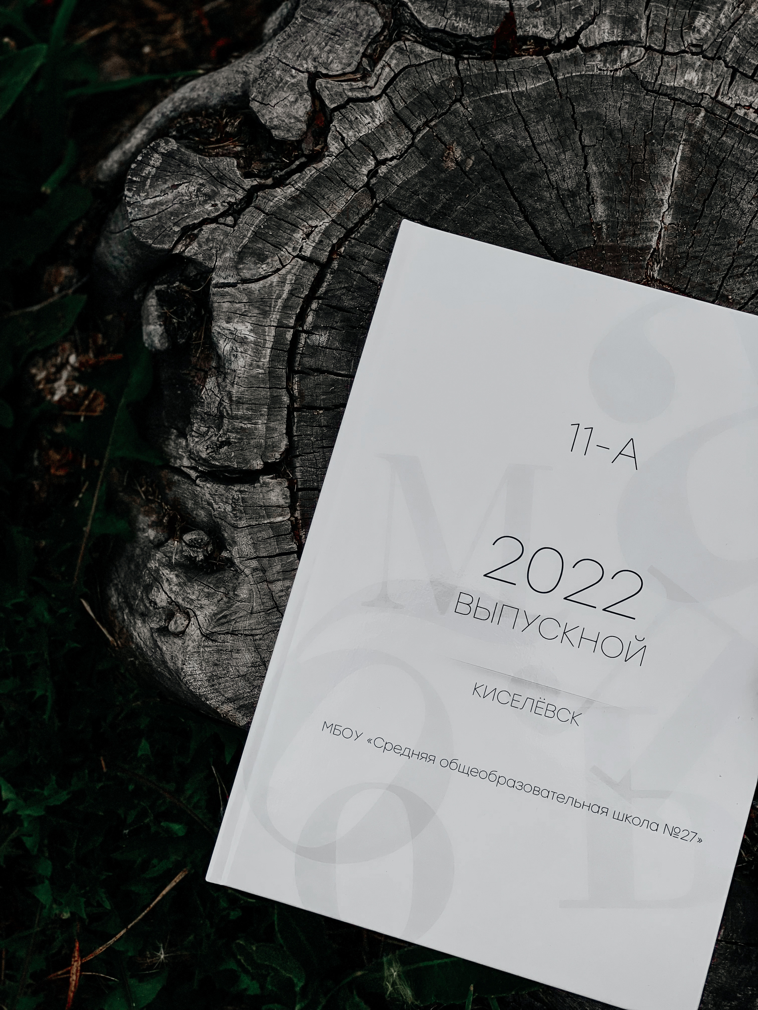 ВЫПУСКНЫЕ АЛЬБОМЫ. Фотограф в Киселёвске Татьяна Трухалева