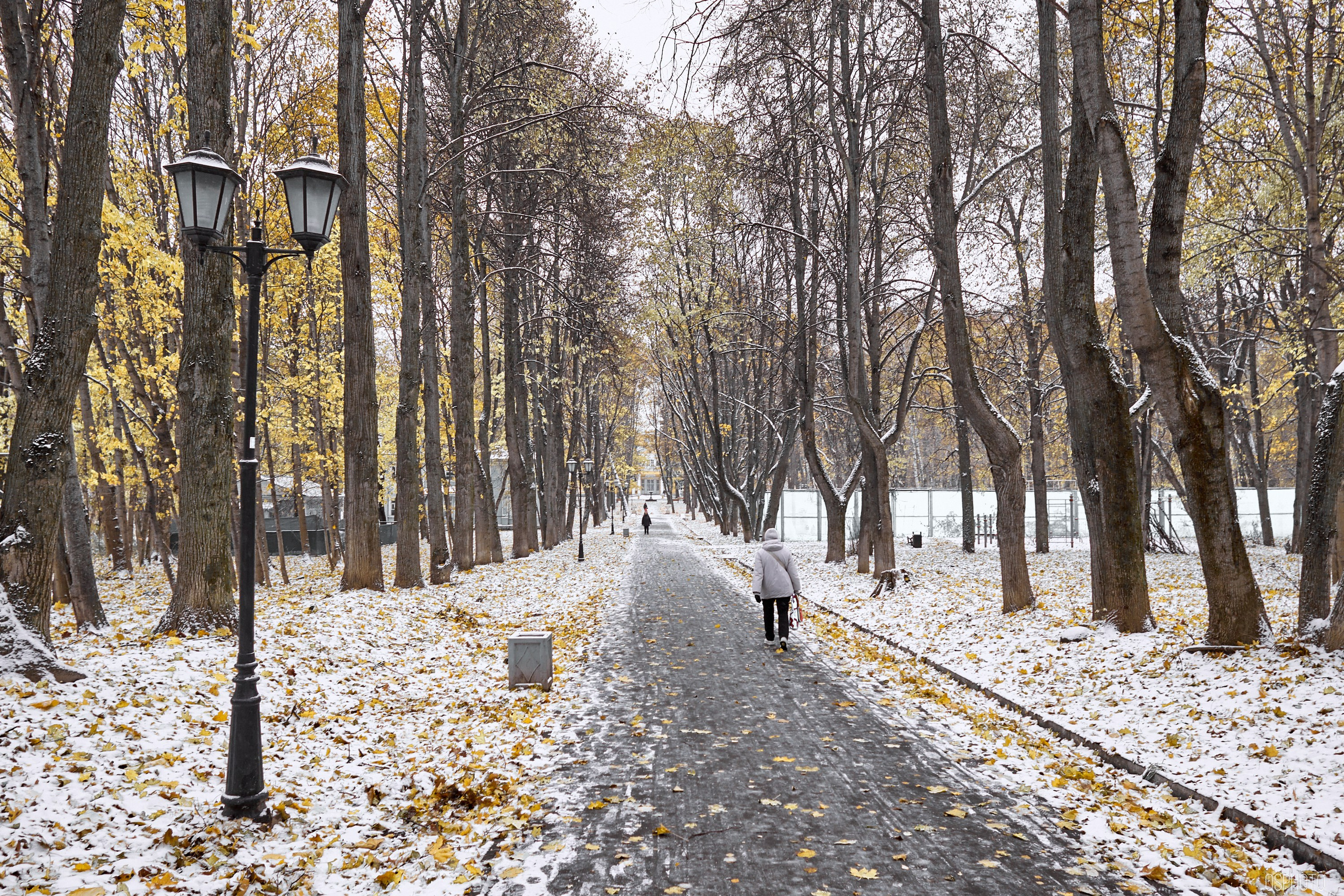 «Иду лесом». Кофе лофт в Братцево. Фотографъ Сергѣевъ. Поймать мгновеніе