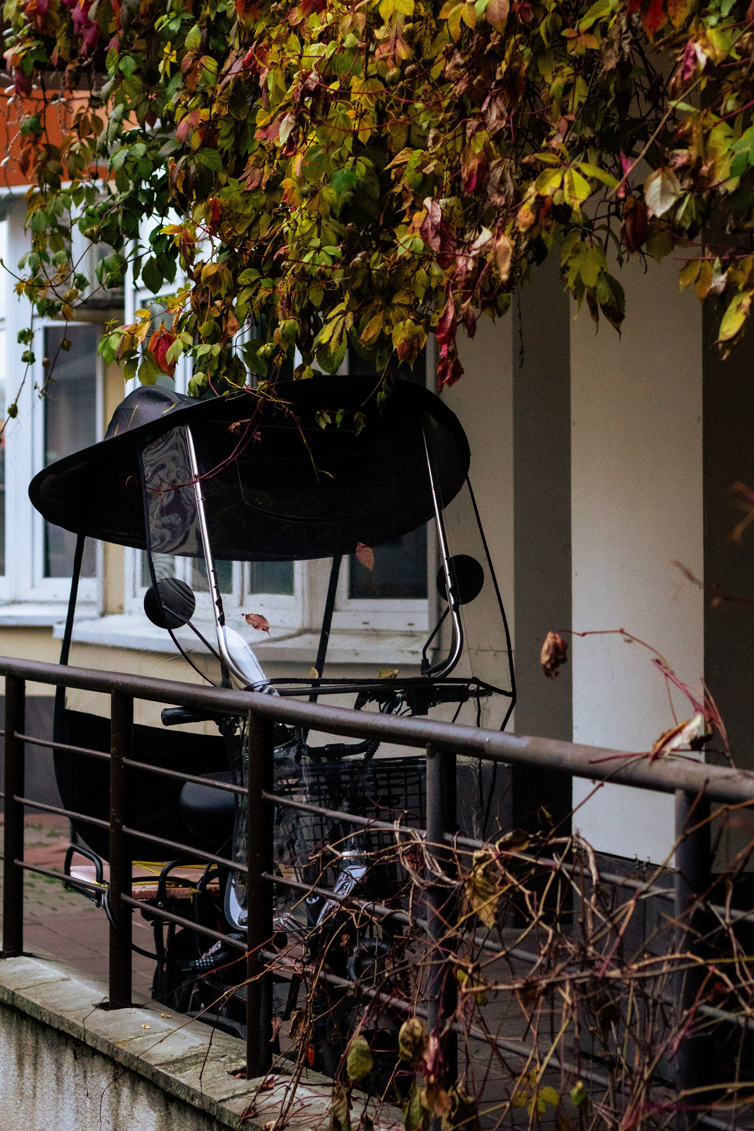 Осень в Москве. Фотограф Москва, портрет, стрит, репортаж. Художественная фотосессия