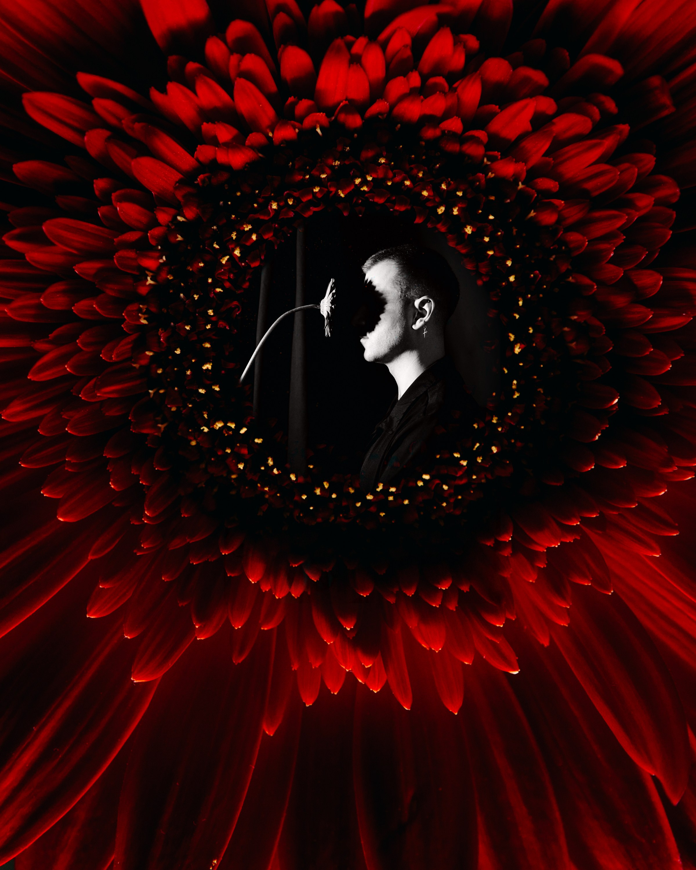 1. Рубедо. Репортажный и портретный фотограф во Владимире Сергей Кравцов