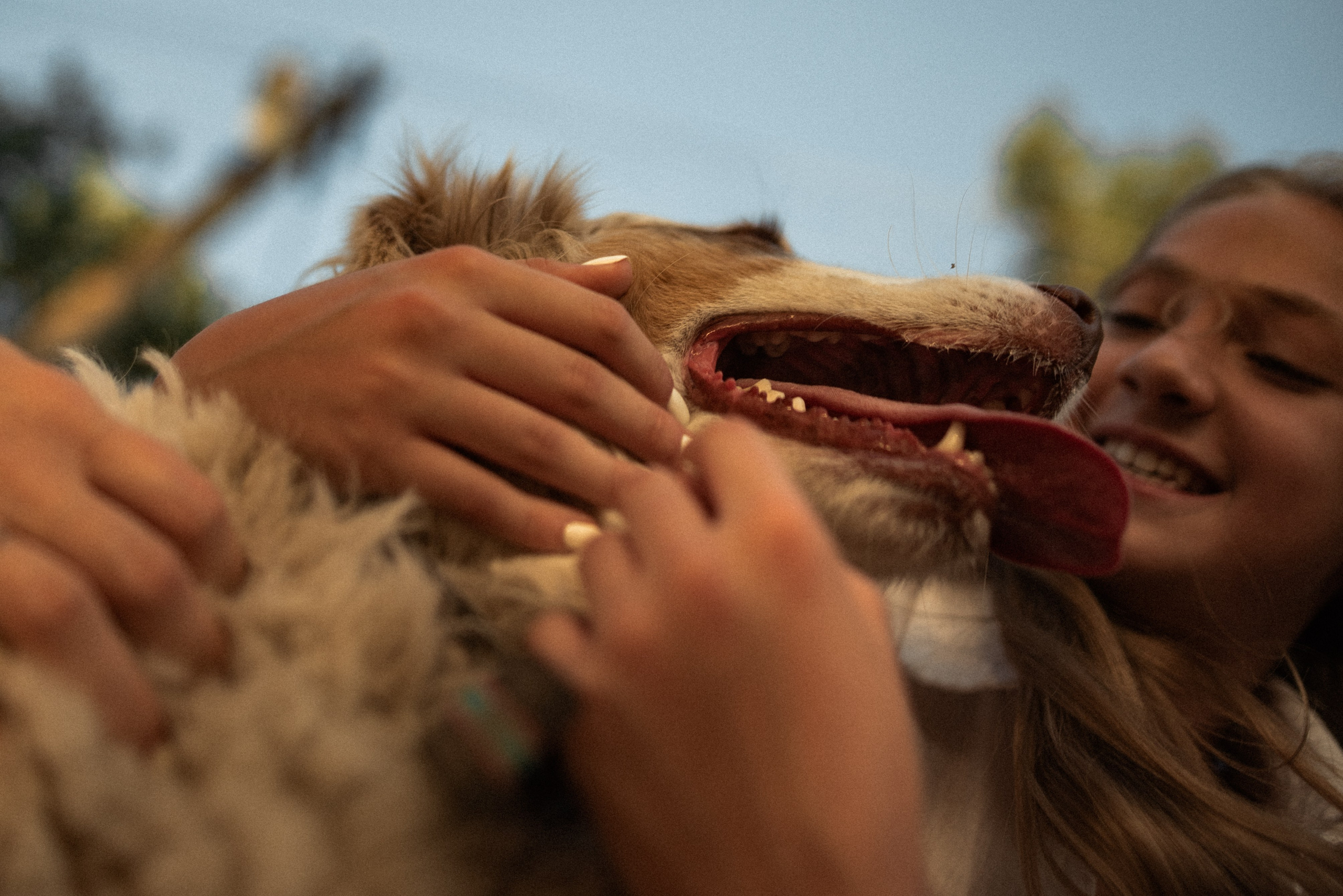 В гостях у Руны. Семейный и детский фотограф в Санкт-Петербурге Татьяна Дмитренко