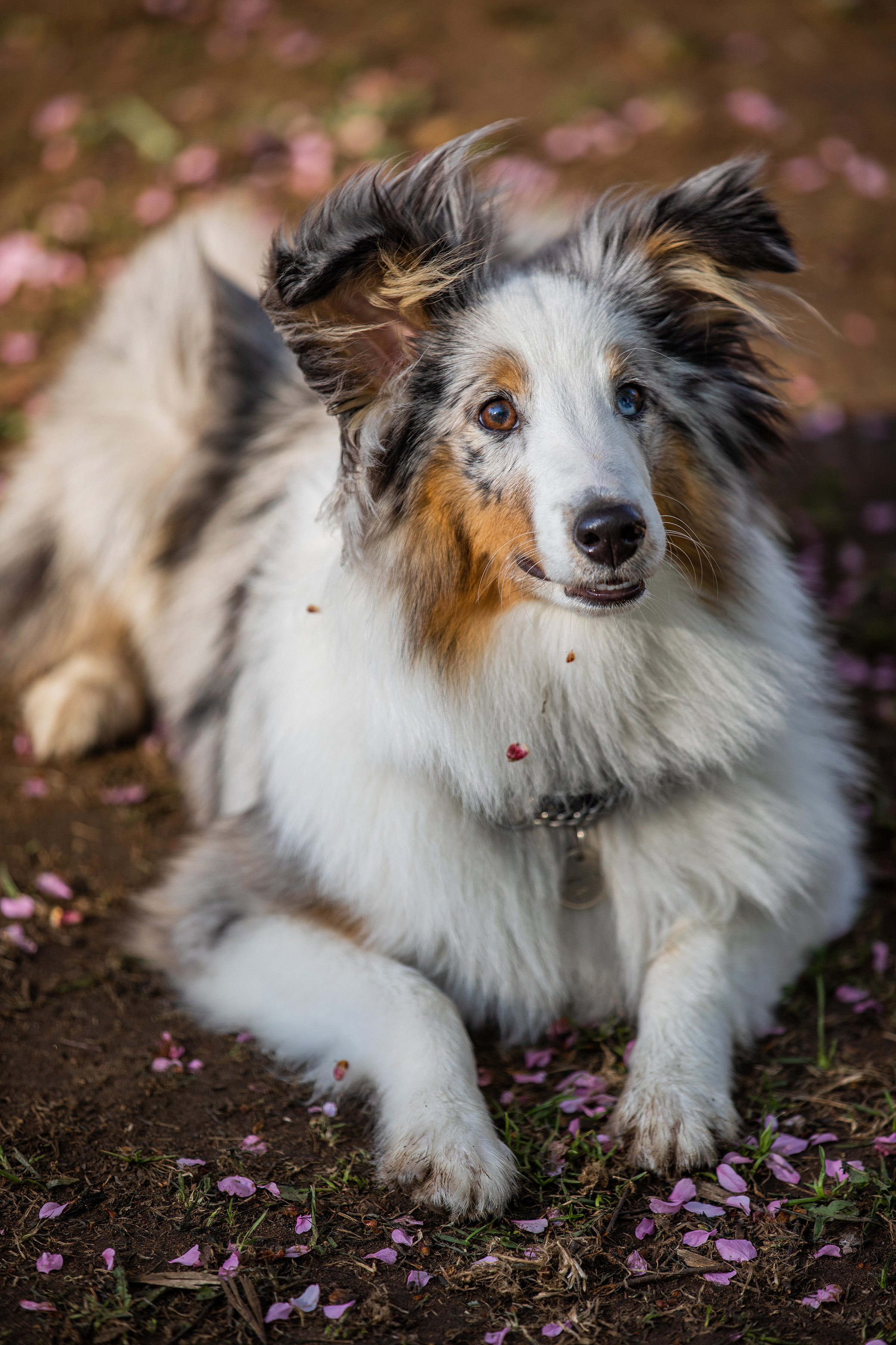 Фотограф Алена Звездина