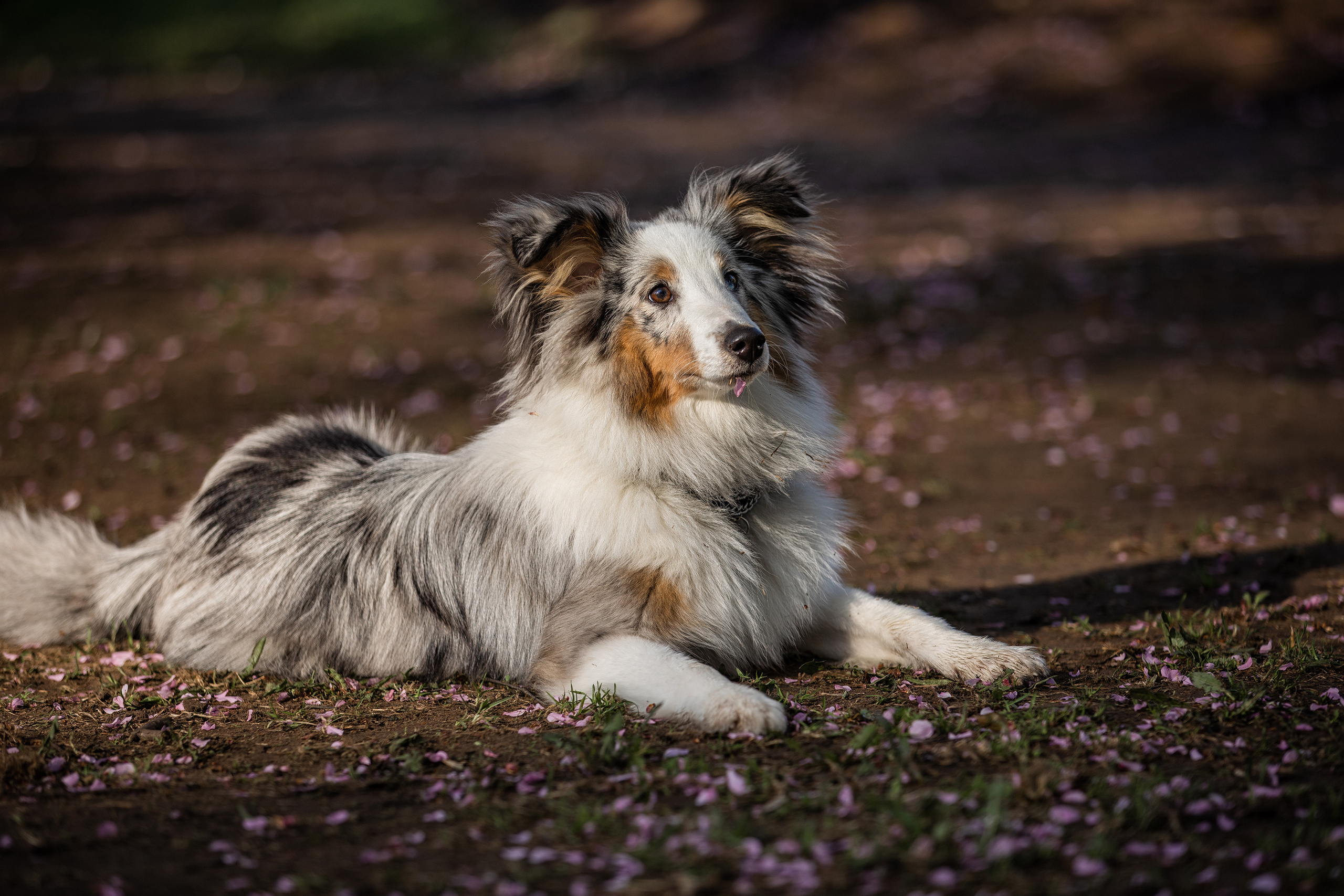 Фотограф Алена Звездина