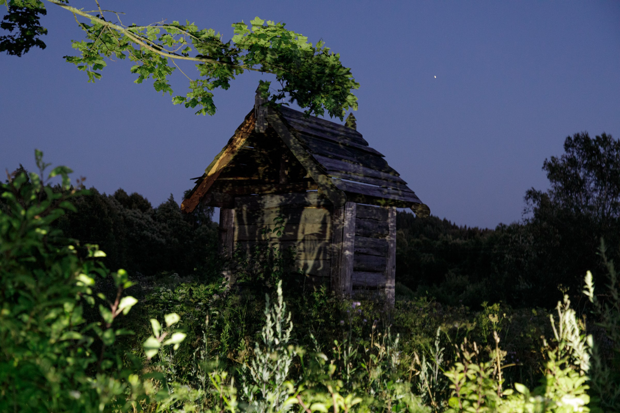 Locals. Photographer, Documentary and Art