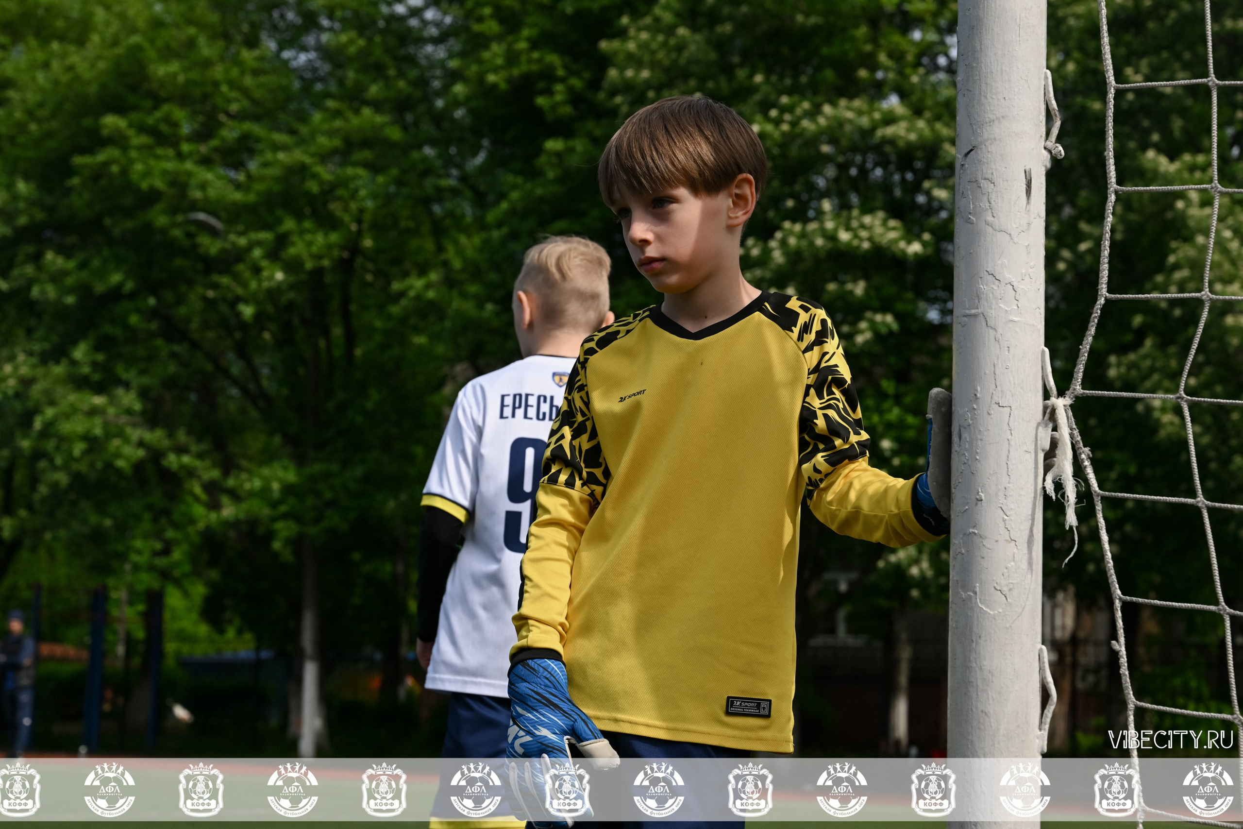 ДФЛ 17 Лицей. VIBECITY.RU Вайб Сити Ру Фоторепортажи Фотоотчеты Калининград