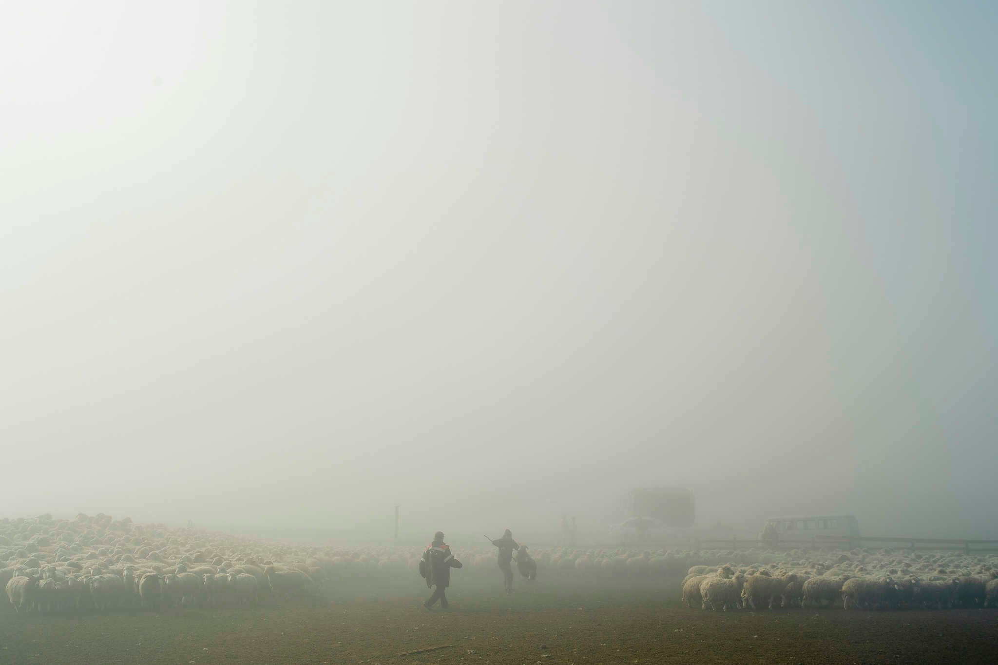 Порог неба. Репортажный фотограф в Сочи — Михаил Мордасов