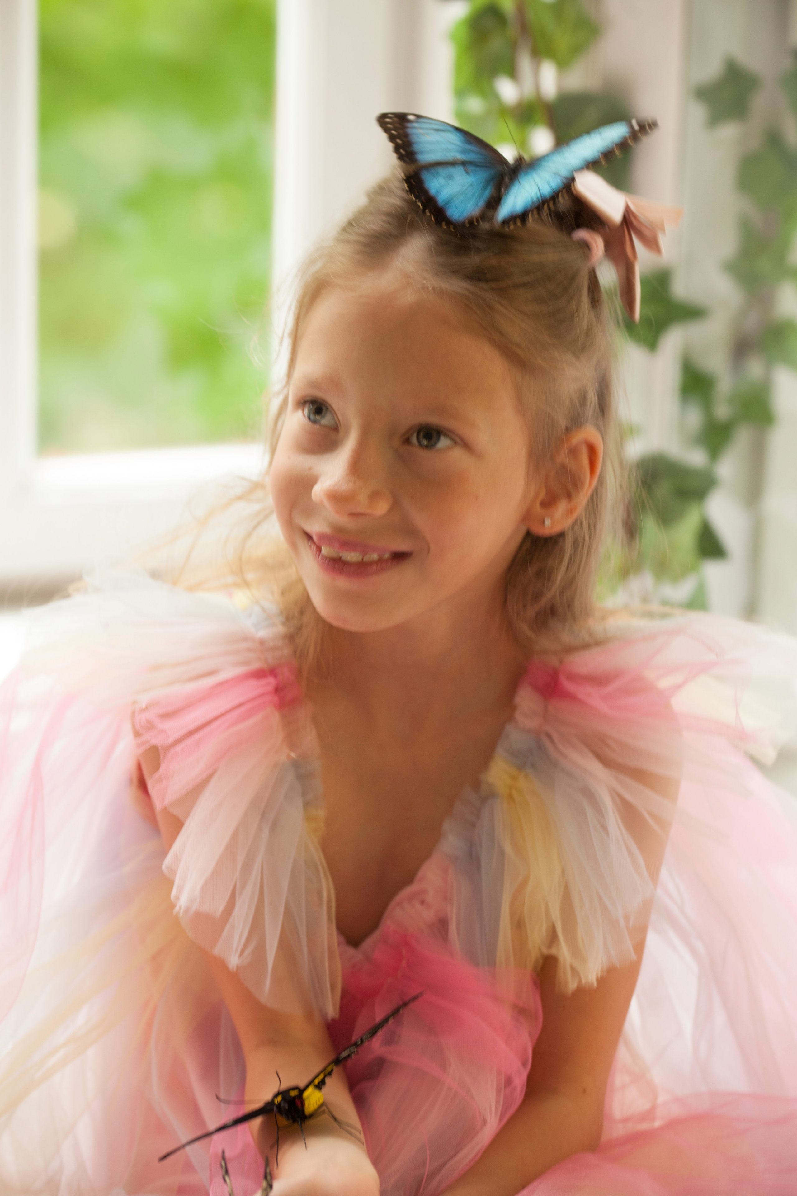 Бабочки и радость. ФОТОГРАФ ЛИЛИЯ БИЧУРИНА