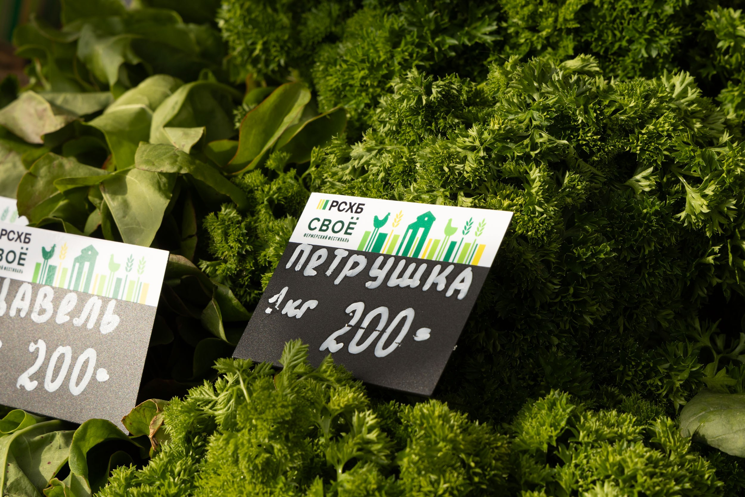 Фоторепортаж с фермерского фестиваля «СВОЁ»