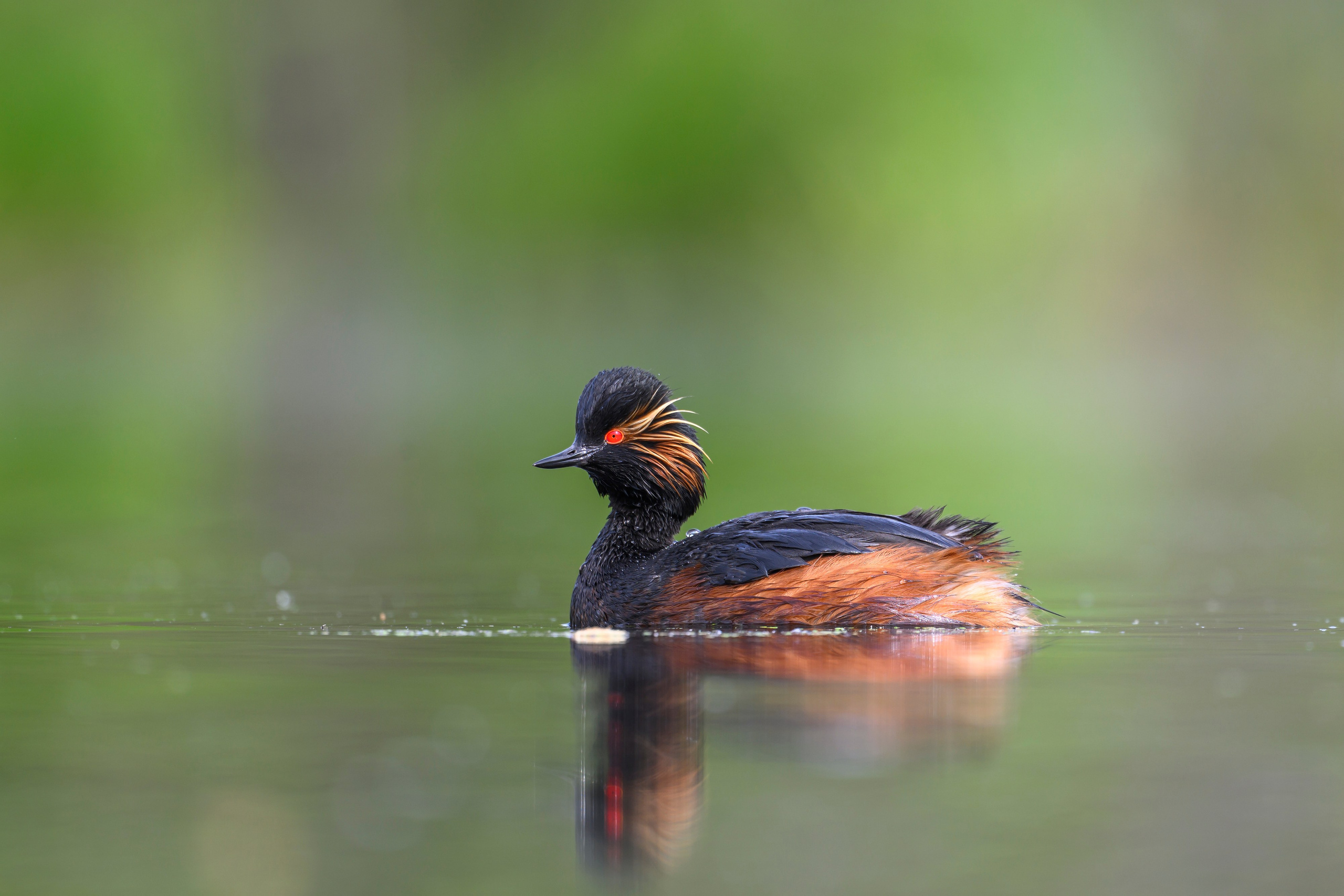 Мягкий свет. Фотограф Сергей Пупонин