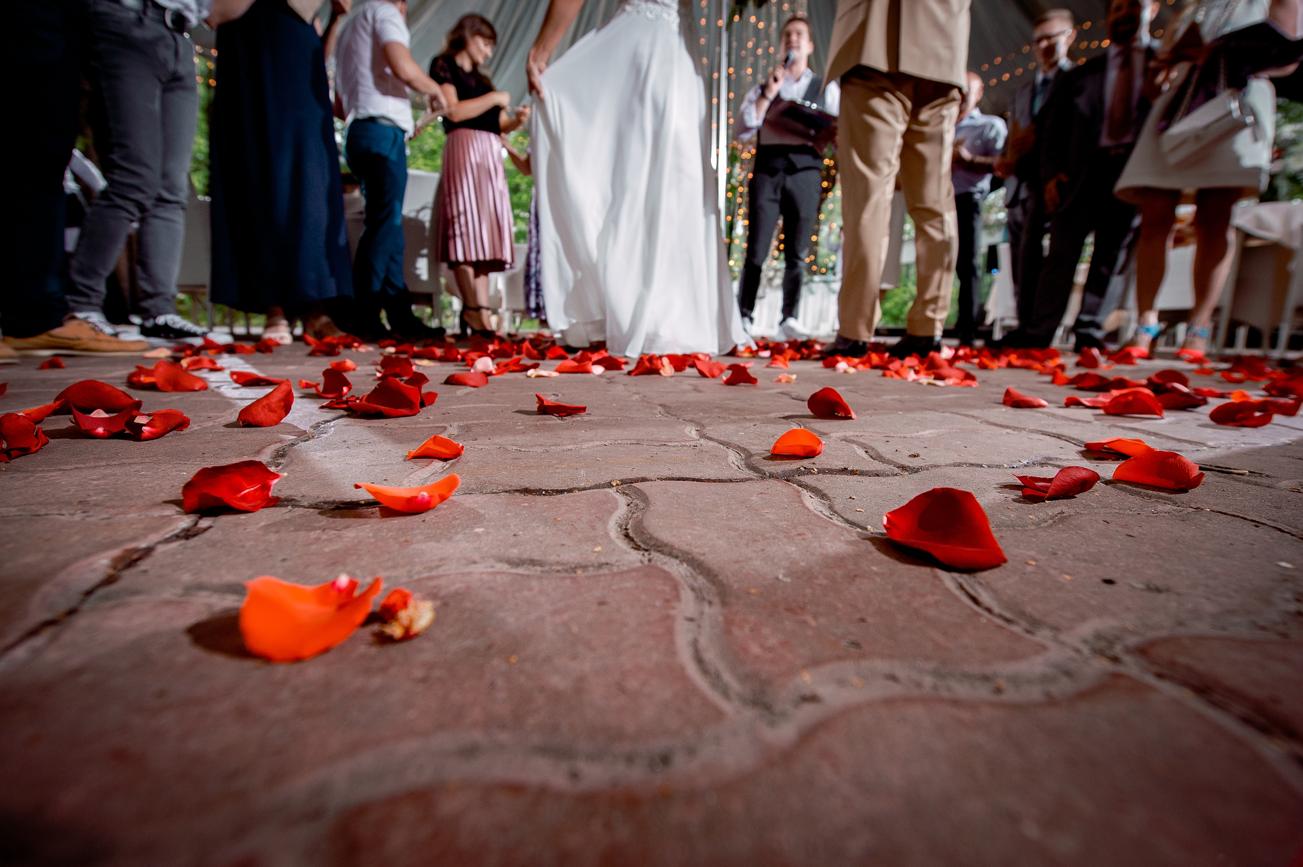 Лиза и Саша, Москва, Серебряный бор. Свадебный и семейный фотограф Виктория Носачёва. Щелково, Москва и МО