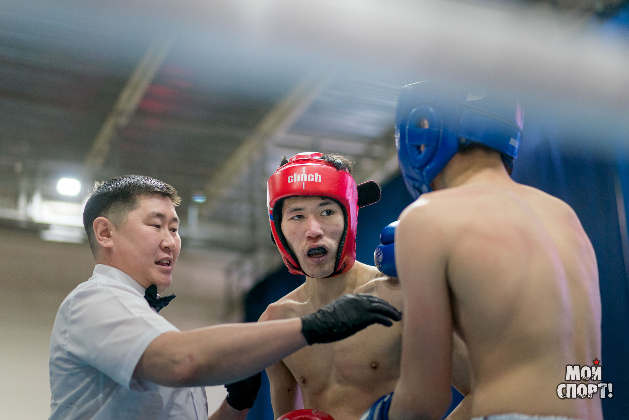 Чемпионат и первенство ДФО по кикбоксингу пам. А. Иванова. Студия «Мой Спорт!» — все о спорте в Якутии