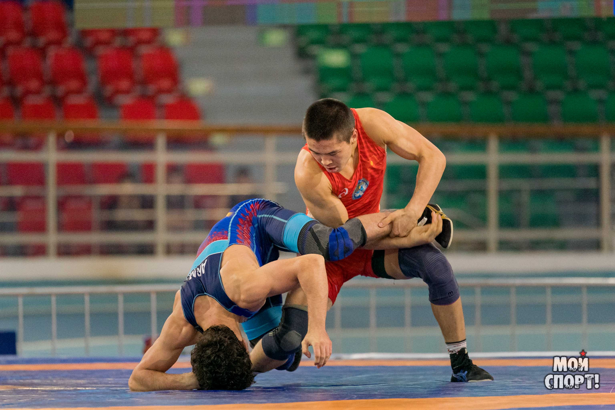 Международные соревнования по вольной борьбе памяти Р. М. Дмитриева. Студия «Мой Спорт!» — все о спорте в Якутии