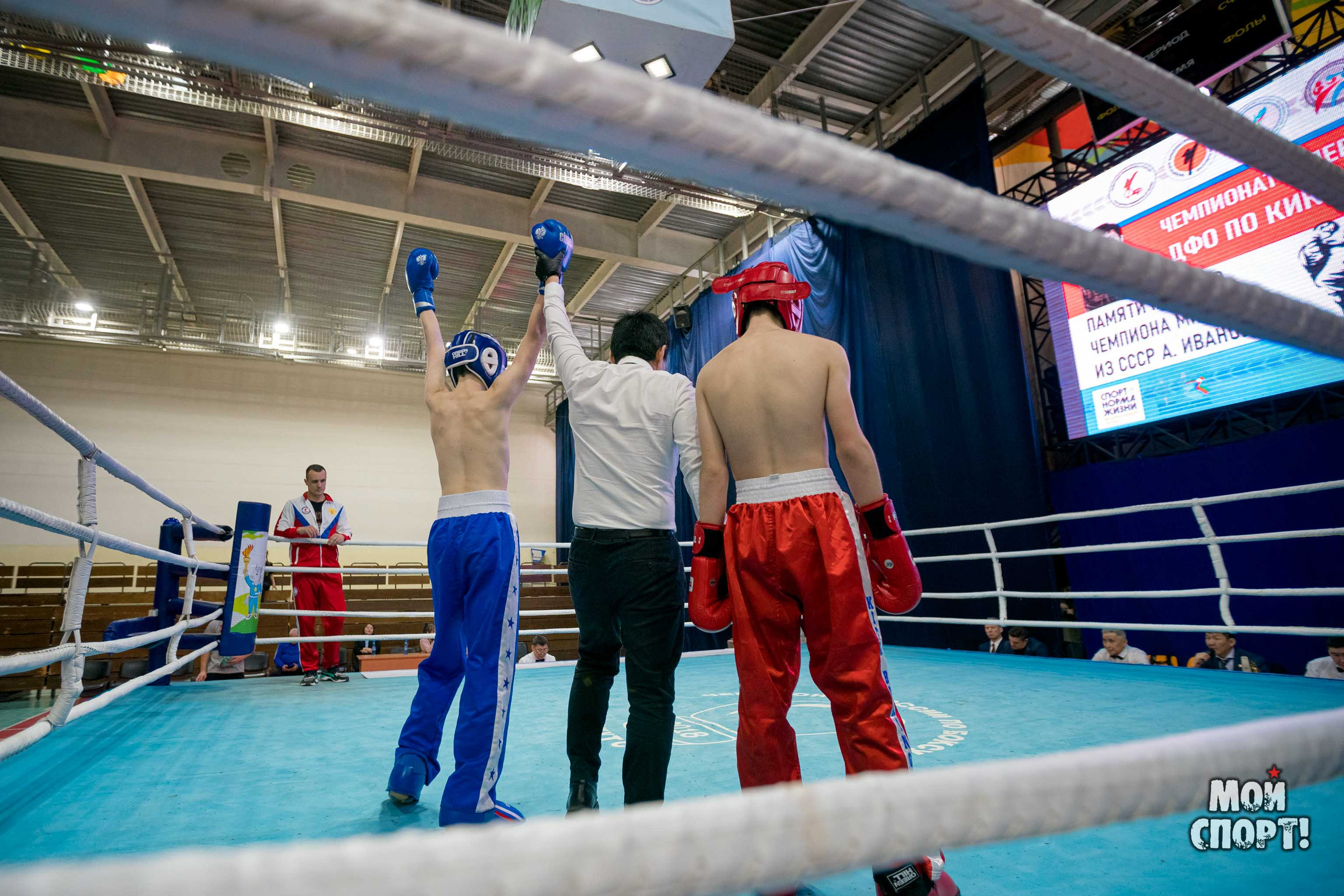Чемпионат и первенство ДФО по кикбоксингу пам. А. Иванова. Студия «Мой Спорт!» — все о спорте в Якутии
