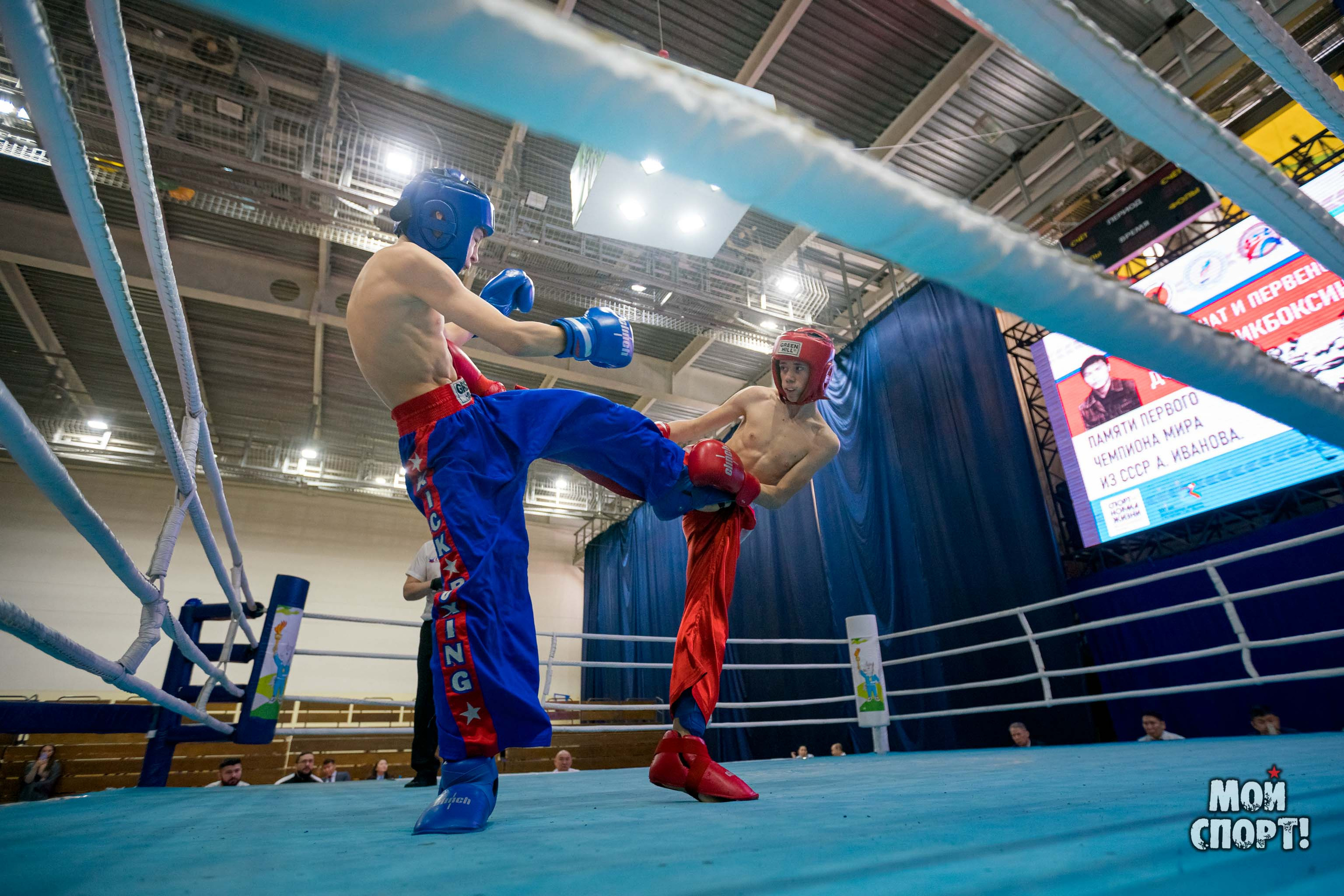 Чемпионат и первенство ДФО по кикбоксингу пам. А. Иванова. Студия «Мой Спорт!» — все о спорте в Якутии