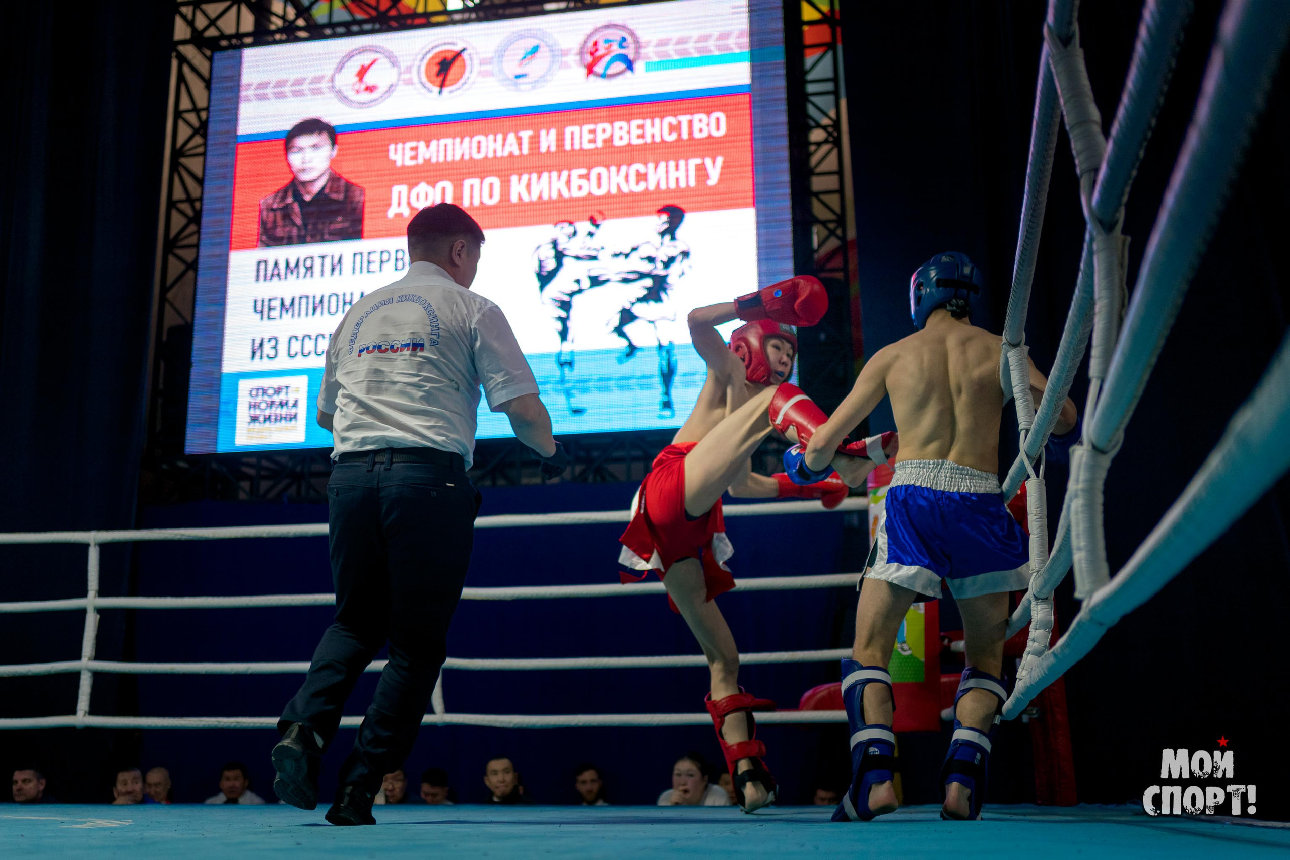 Чемпионат и первенство ДФО по кикбоксингу пам. А. Иванова. Студия «Мой Спорт!» — все о спорте в Якутии