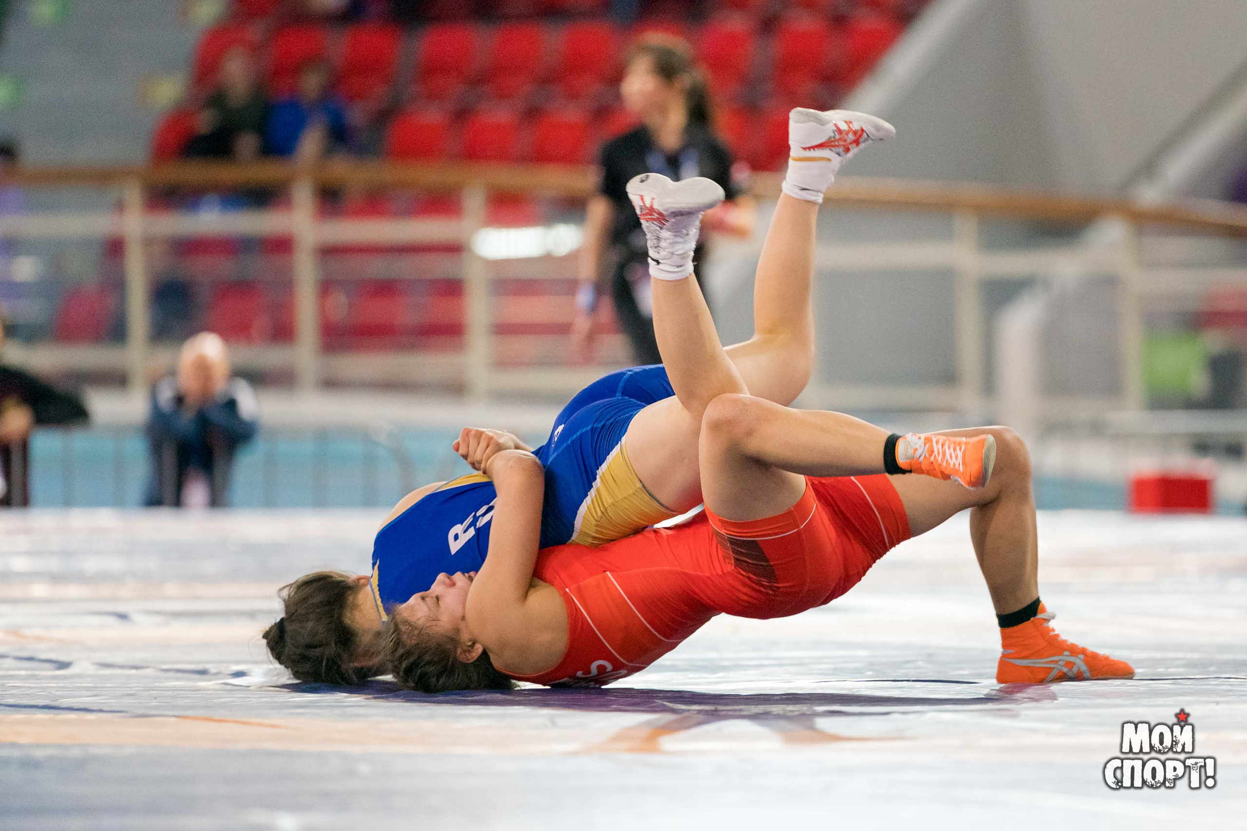 Международные соревнования по вольной борьбе памяти Р. М. Дмитриева. Студия «Мой Спорт!» — все о спорте в Якутии