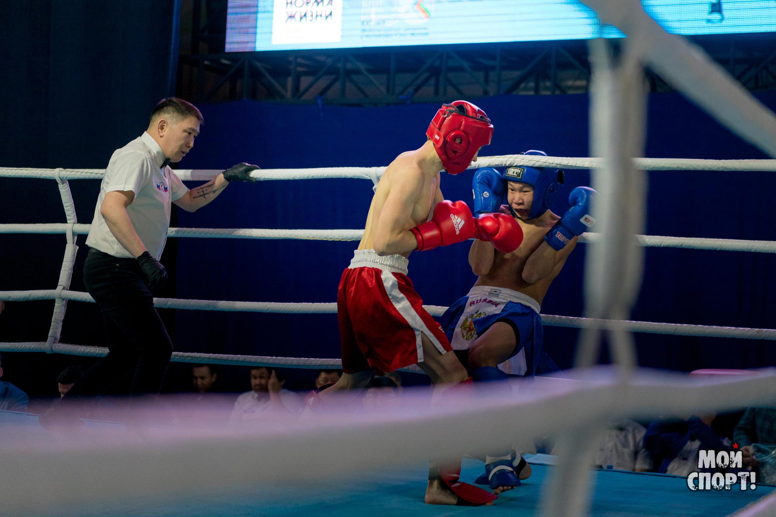 Чемпионат и первенство ДФО по кикбоксингу пам. А. Иванова. Студия «Мой Спорт!» — все о спорте в Якутии