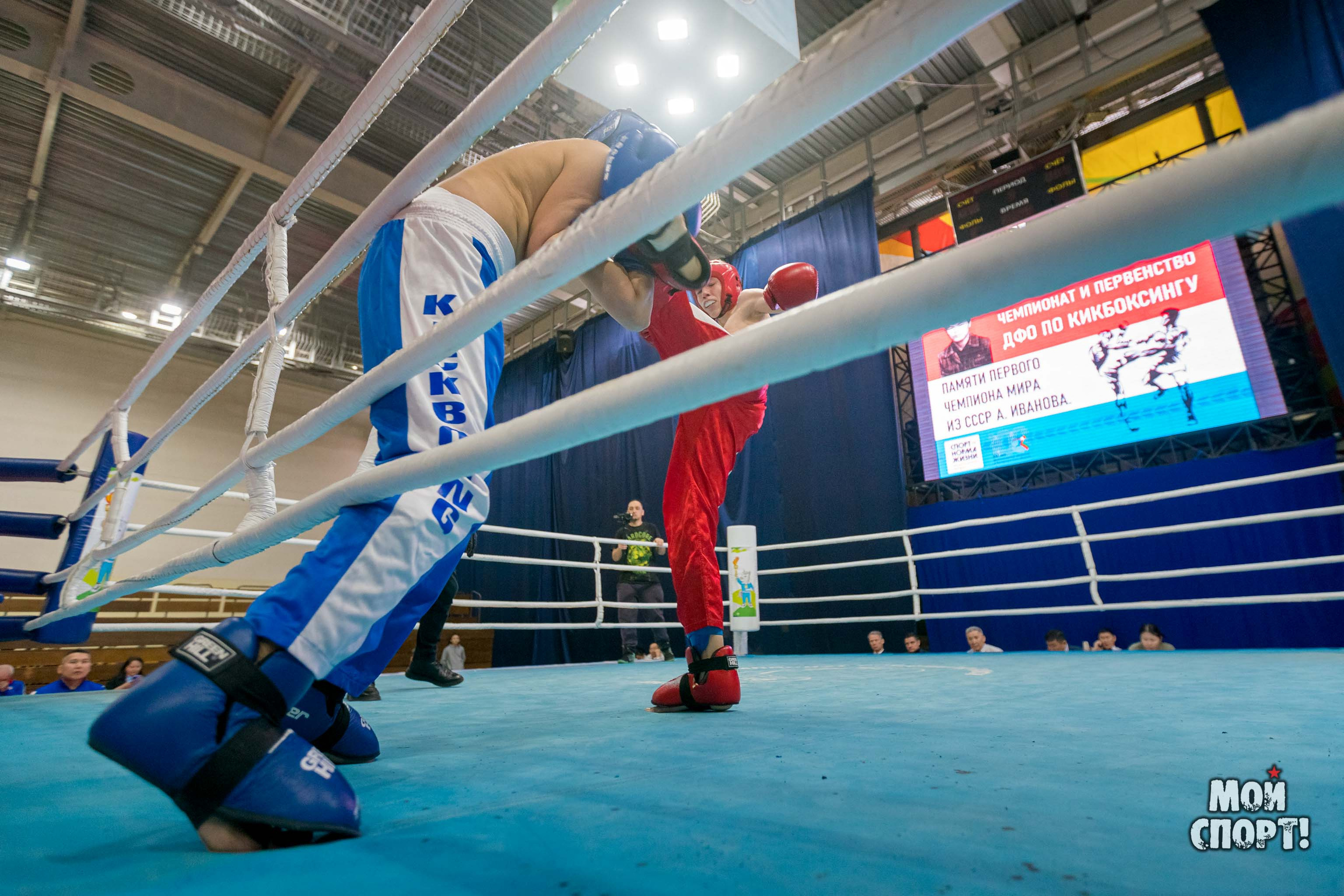 Чемпионат и первенство ДФО по кикбоксингу пам. А. Иванова. Студия «Мой Спорт!» — все о спорте в Якутии