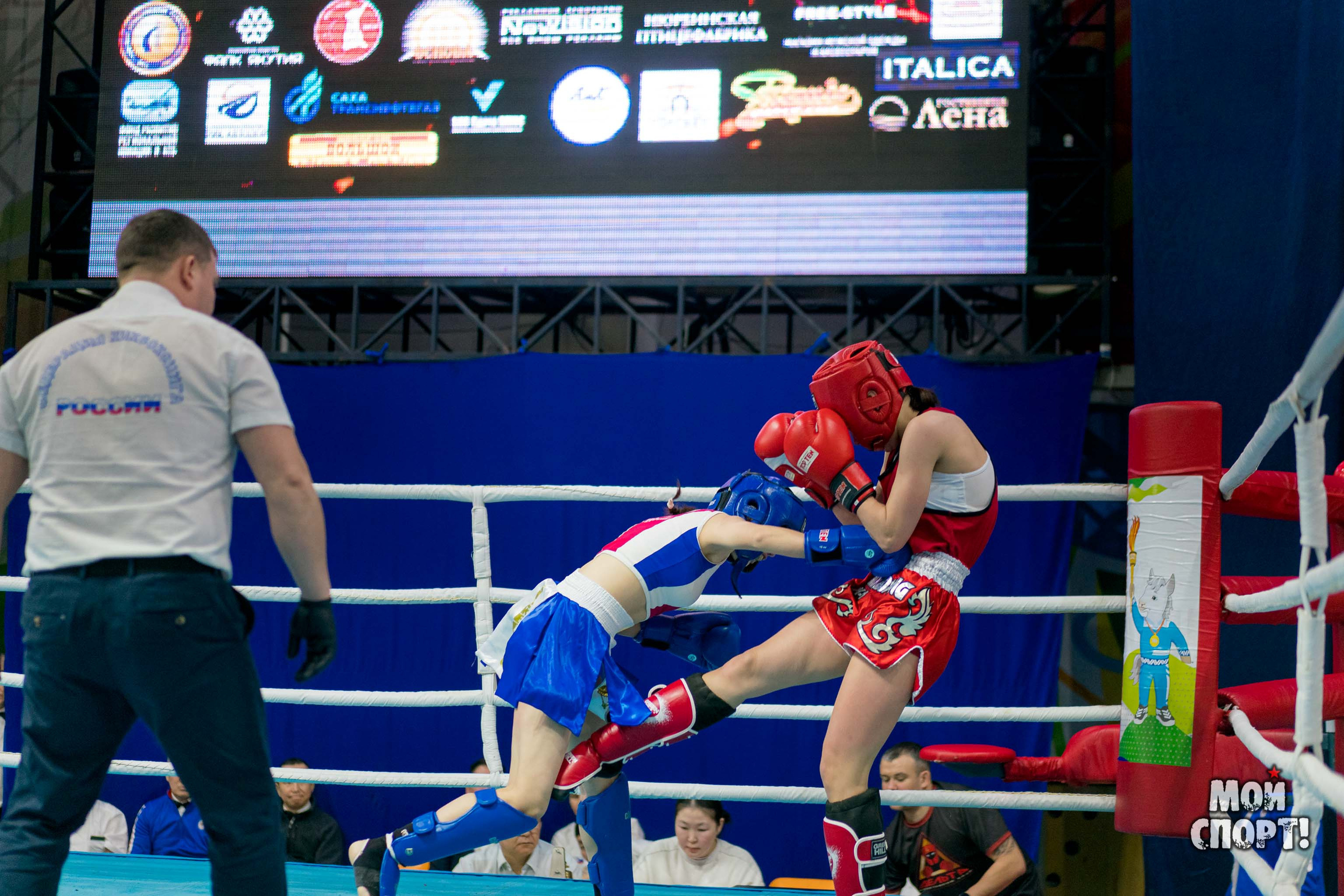 Чемпионат и первенство ДФО по кикбоксингу пам. А. Иванова. Студия «Мой Спорт!» — все о спорте в Якутии