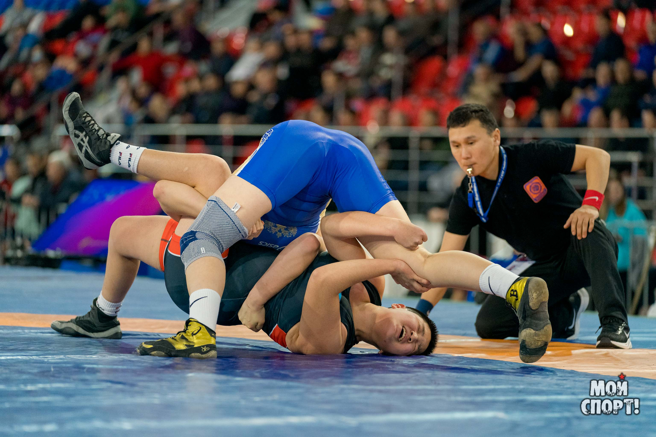 Международные соревнования по вольной борьбе памяти Р. М. Дмитриева. Студия «Мой Спорт!» — все о спорте в Якутии