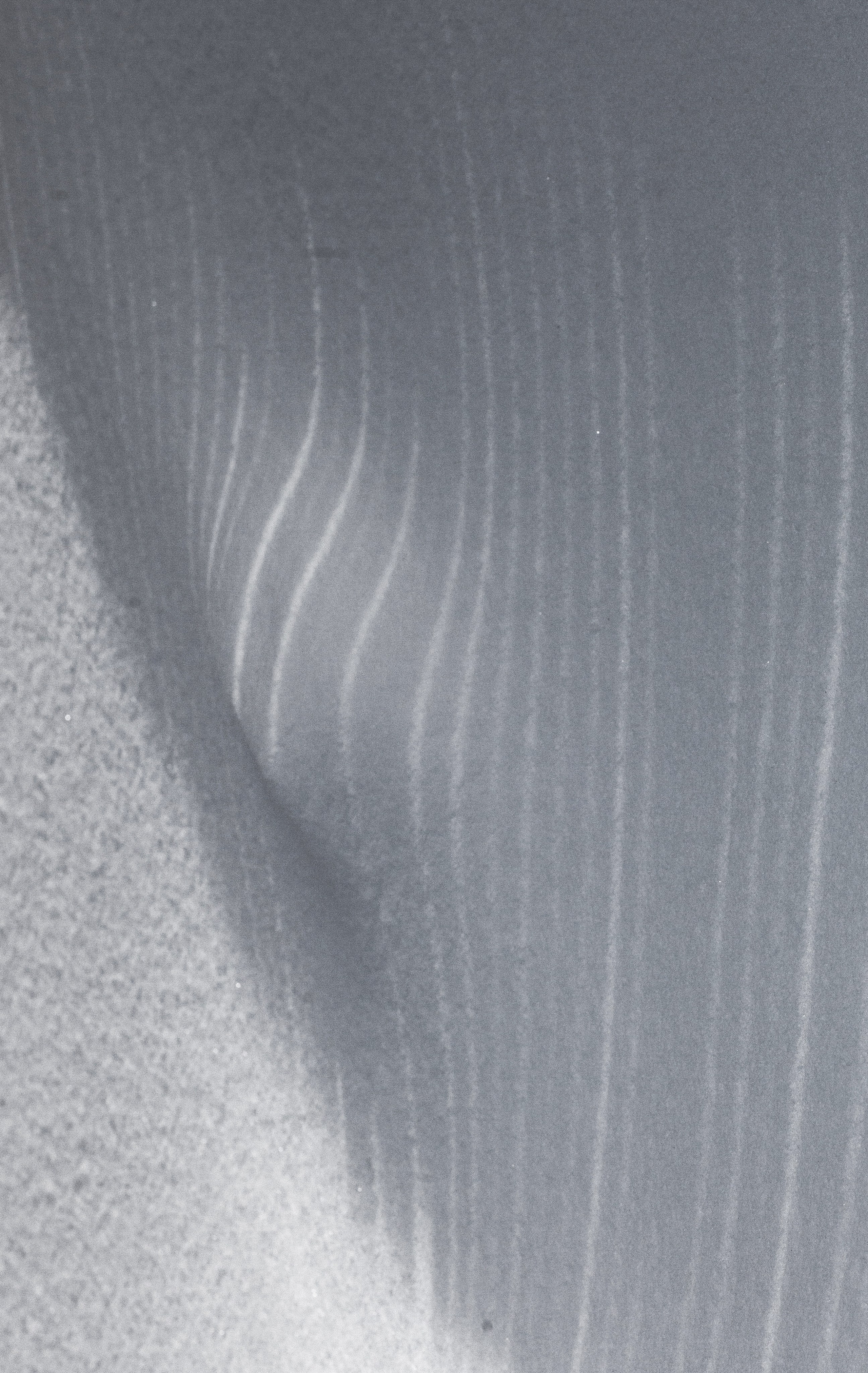 Улицы Люди на улицах Природа Животные — фотограф Оля Волчкова