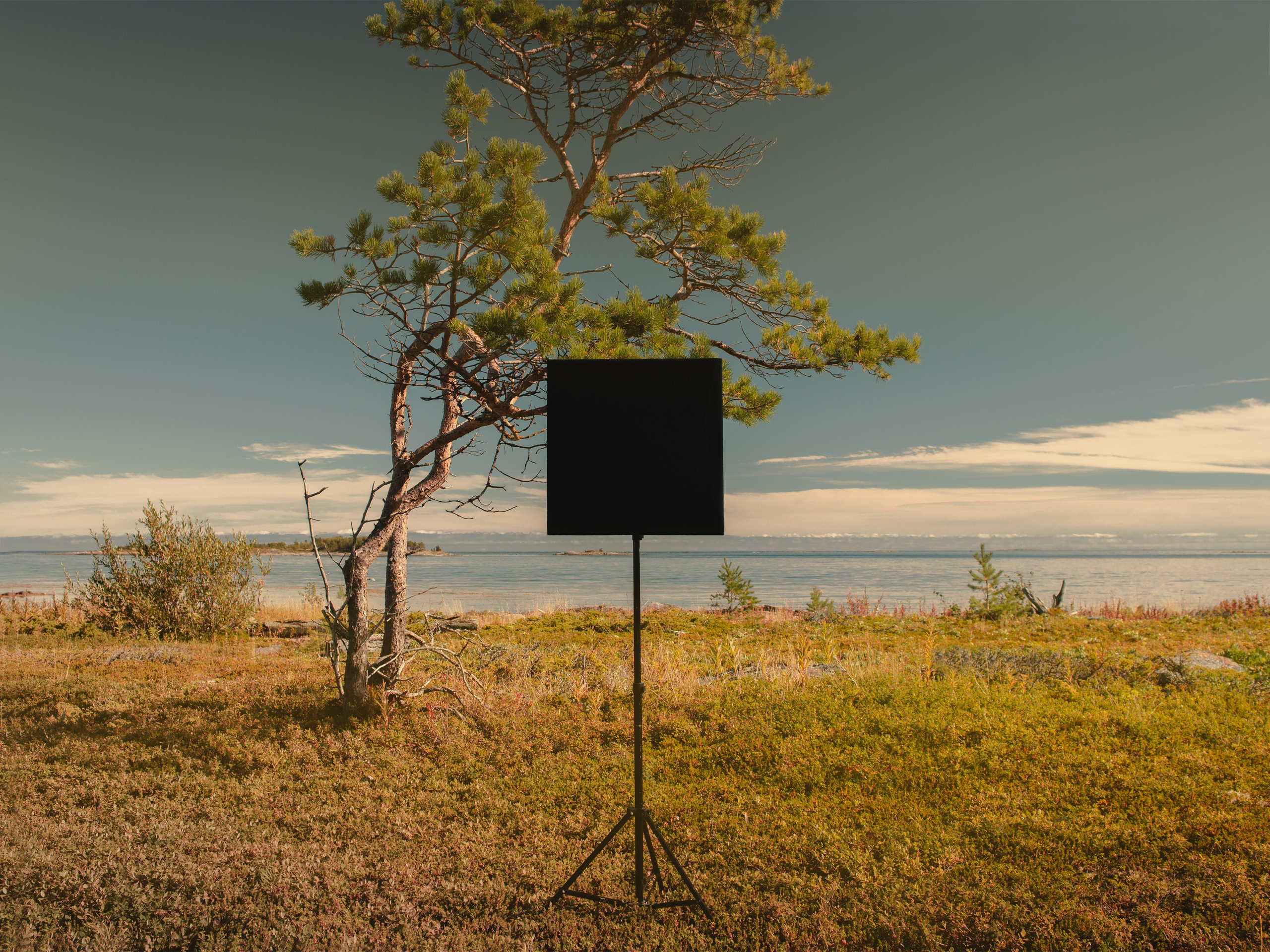 Скрытый Пиксель. ALEXEY KRYLOV | Photography