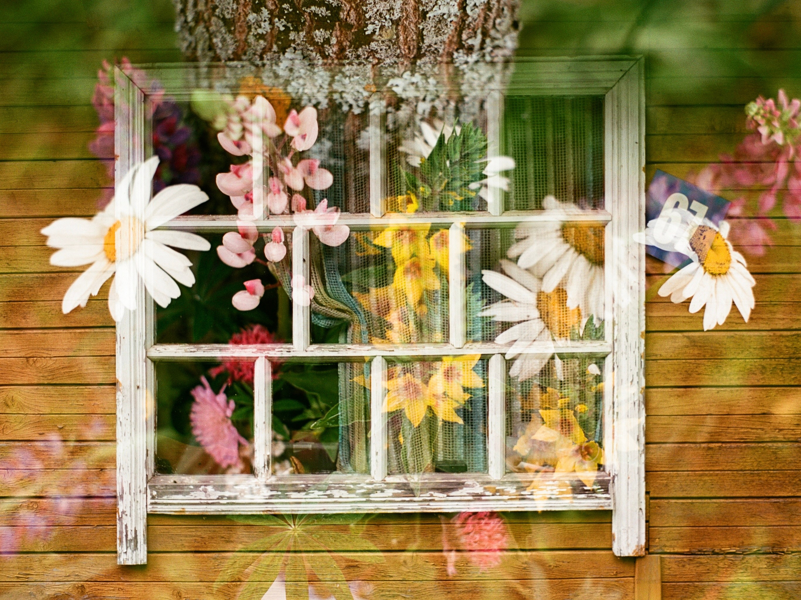 Автор: Анастасия Пиганова