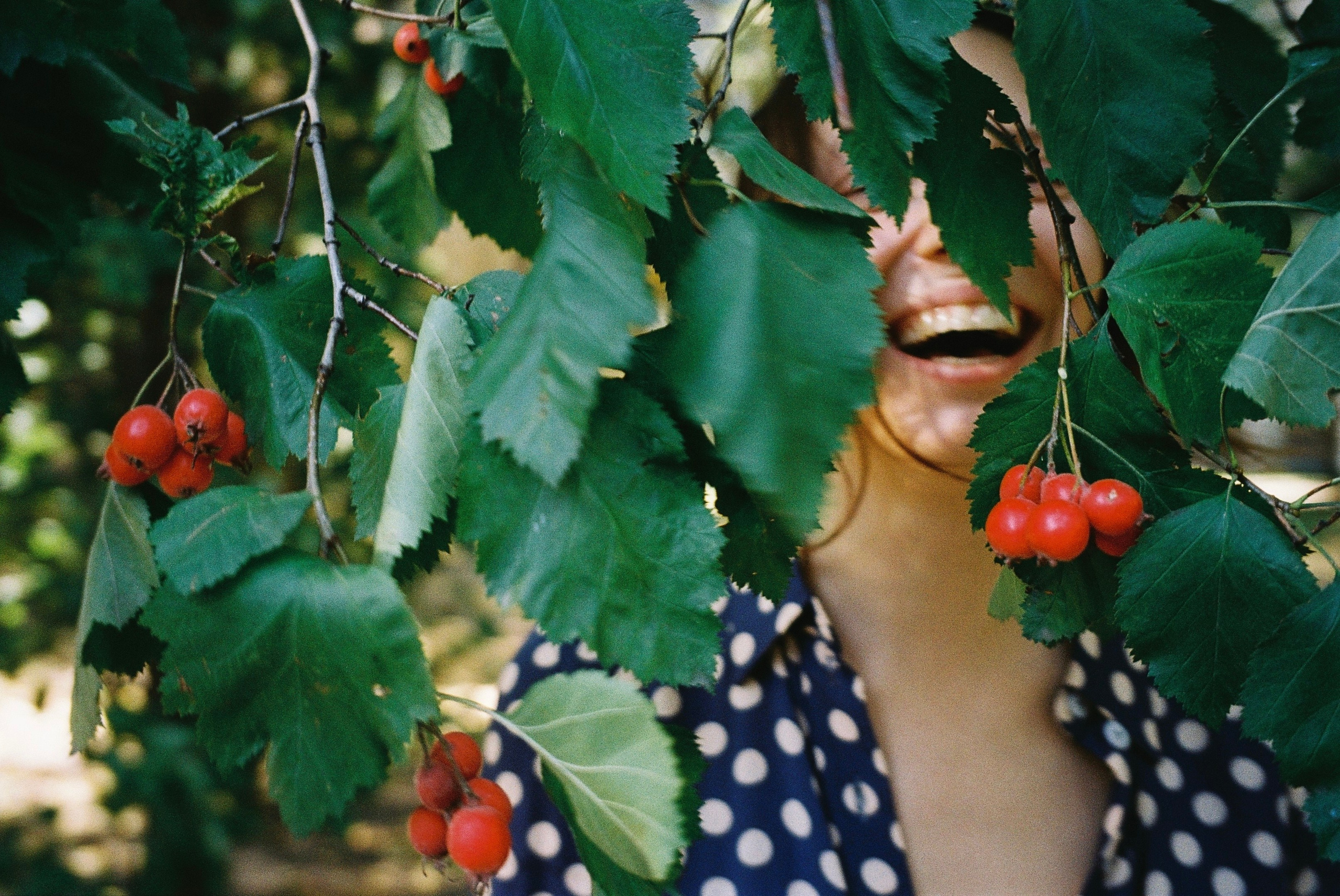 Док портрет