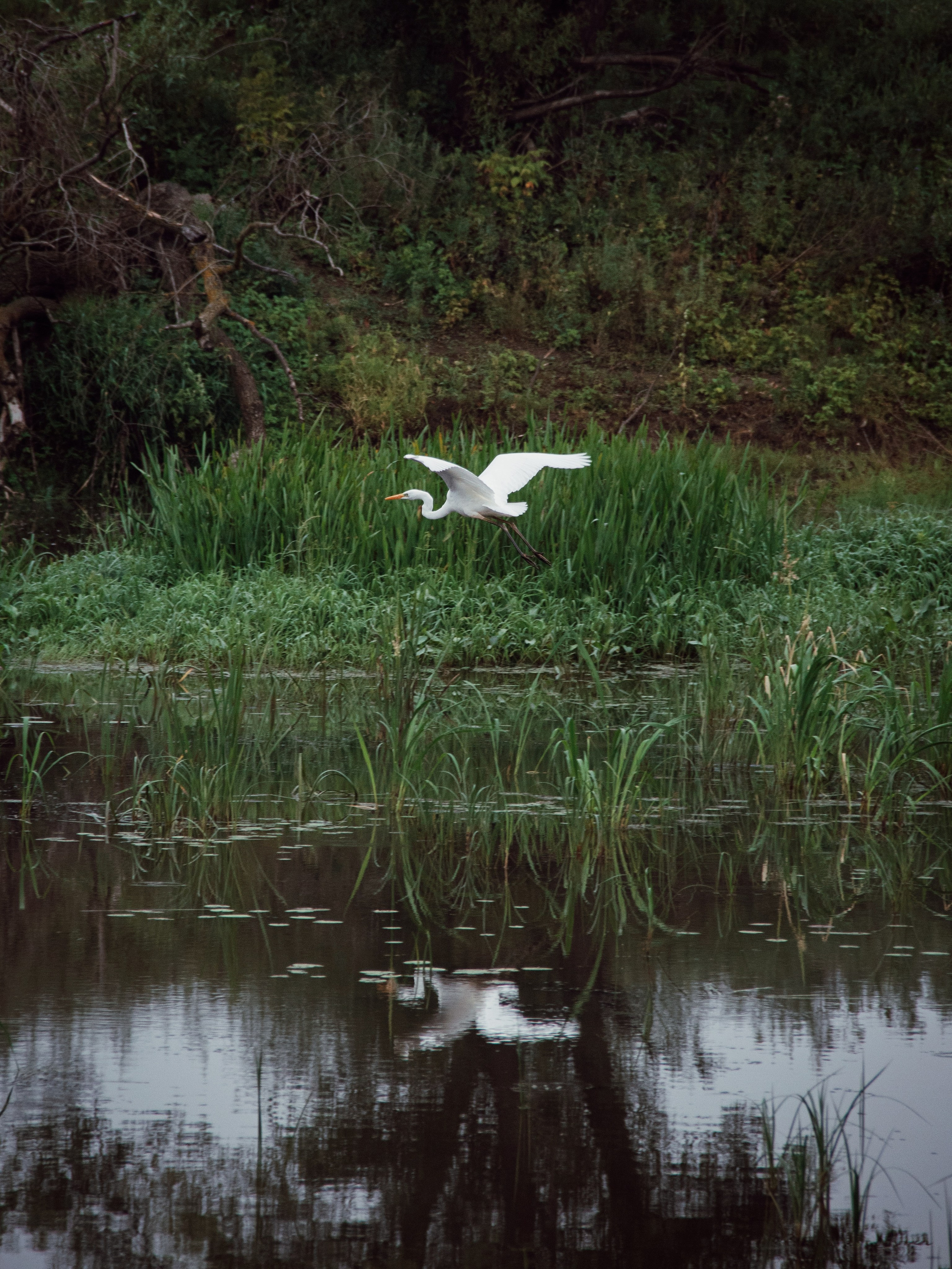 Застывшая утренняя тишина. С любовью, фотохудожник