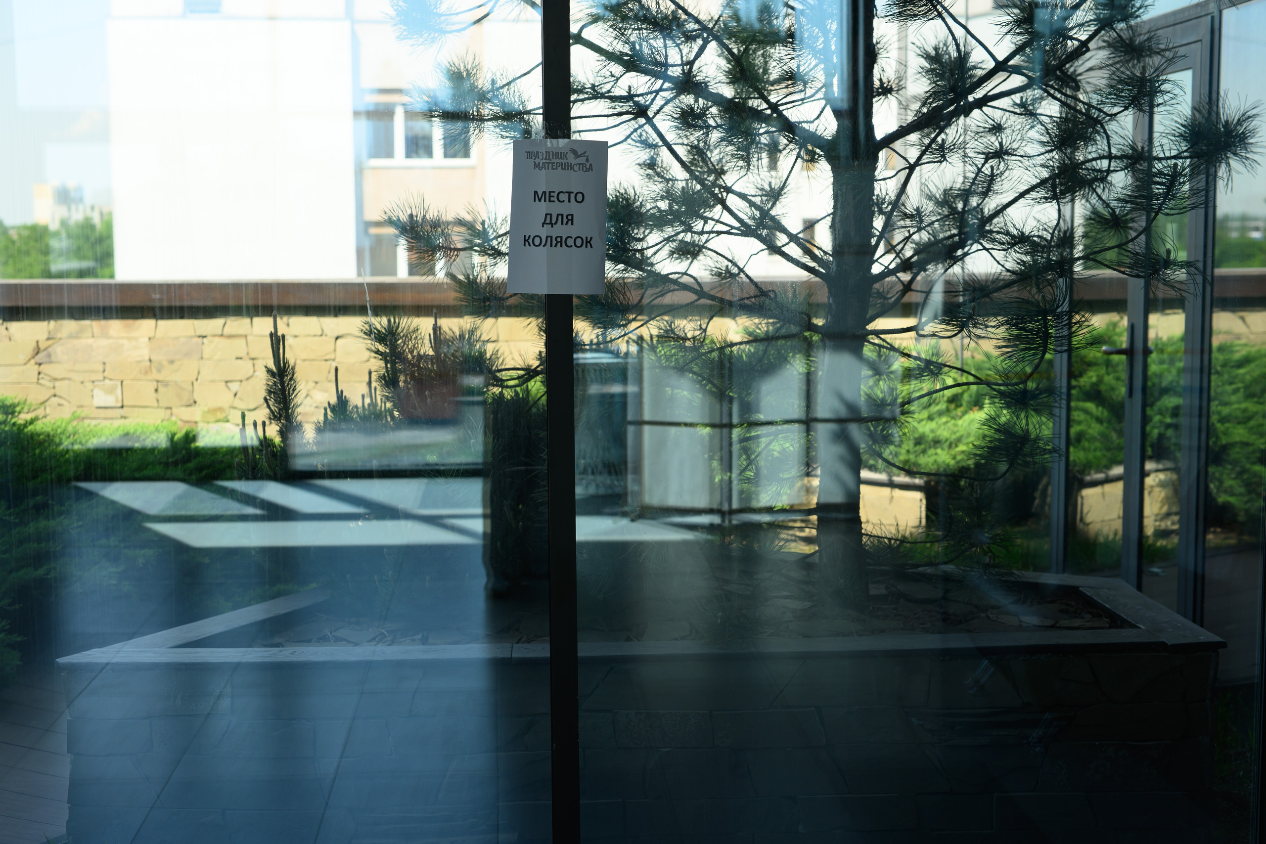 Праздник материнства май 2025. Профессиональный фотограф Елена Красилина г.Ярославль, г. Рыбинск