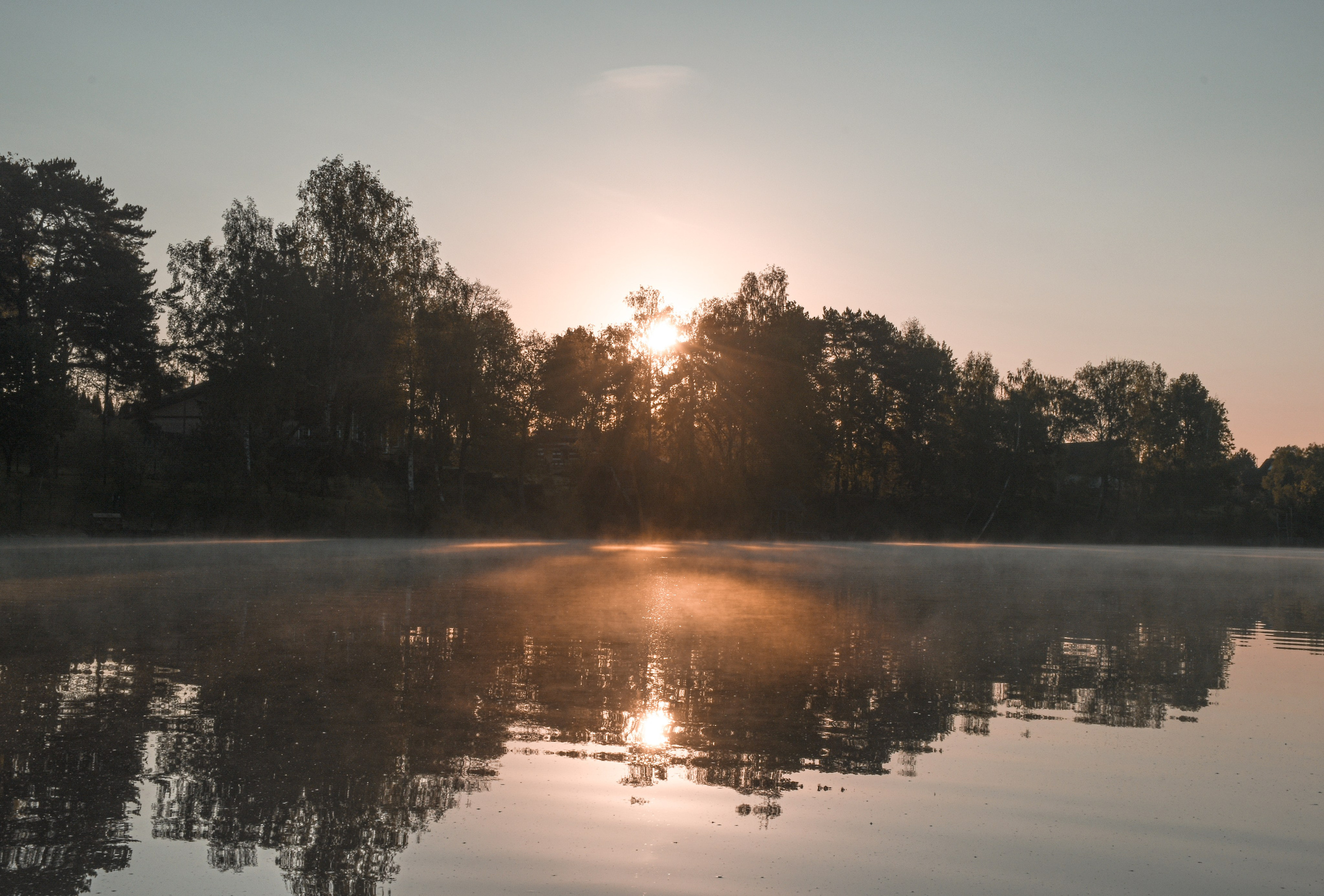 В созвучии с природой. Фотограф Светлана В. Пронина, Москва