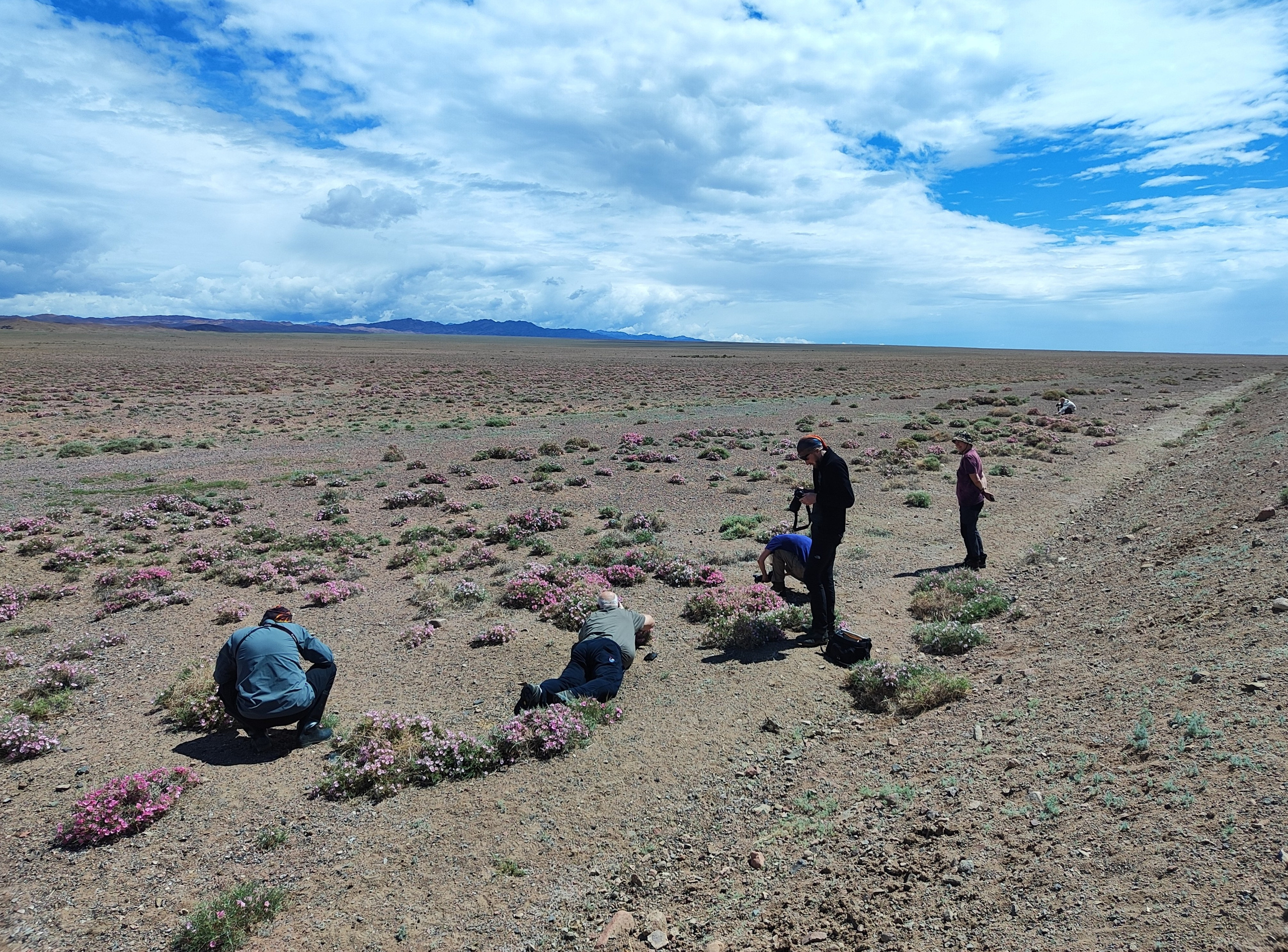 Экспедиция в Монголию (котловина больших озер). Семоха Валерий. Фотограф