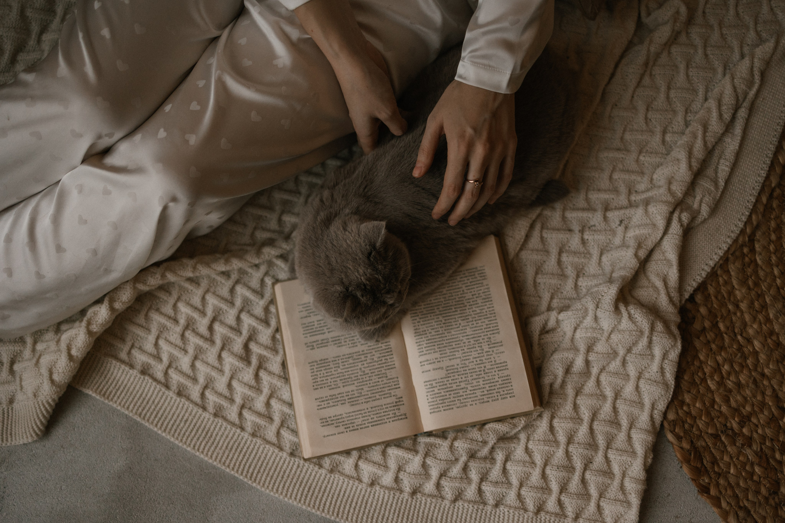 Новогодние фотостудии. Фотограф — Анималист | Санкт-Петербург