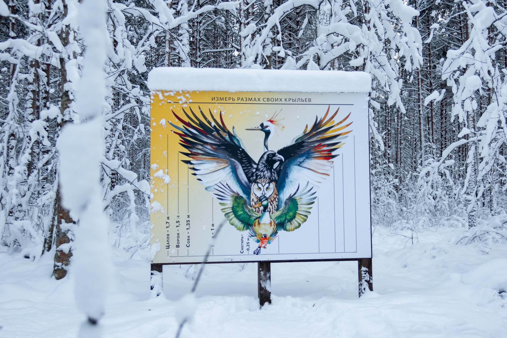 Новогодняя поездка в Санкт-Петербург. Павел Шарапов | Фотограф | Москва