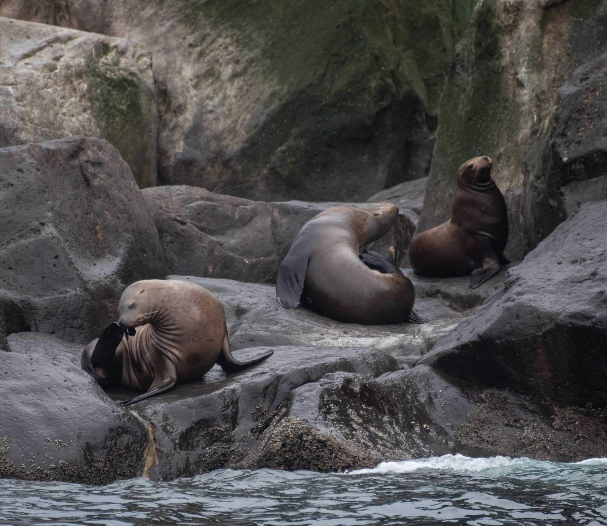 Фотоэкспедиция по Шантарам, к острову Ионы и полуострову Кони