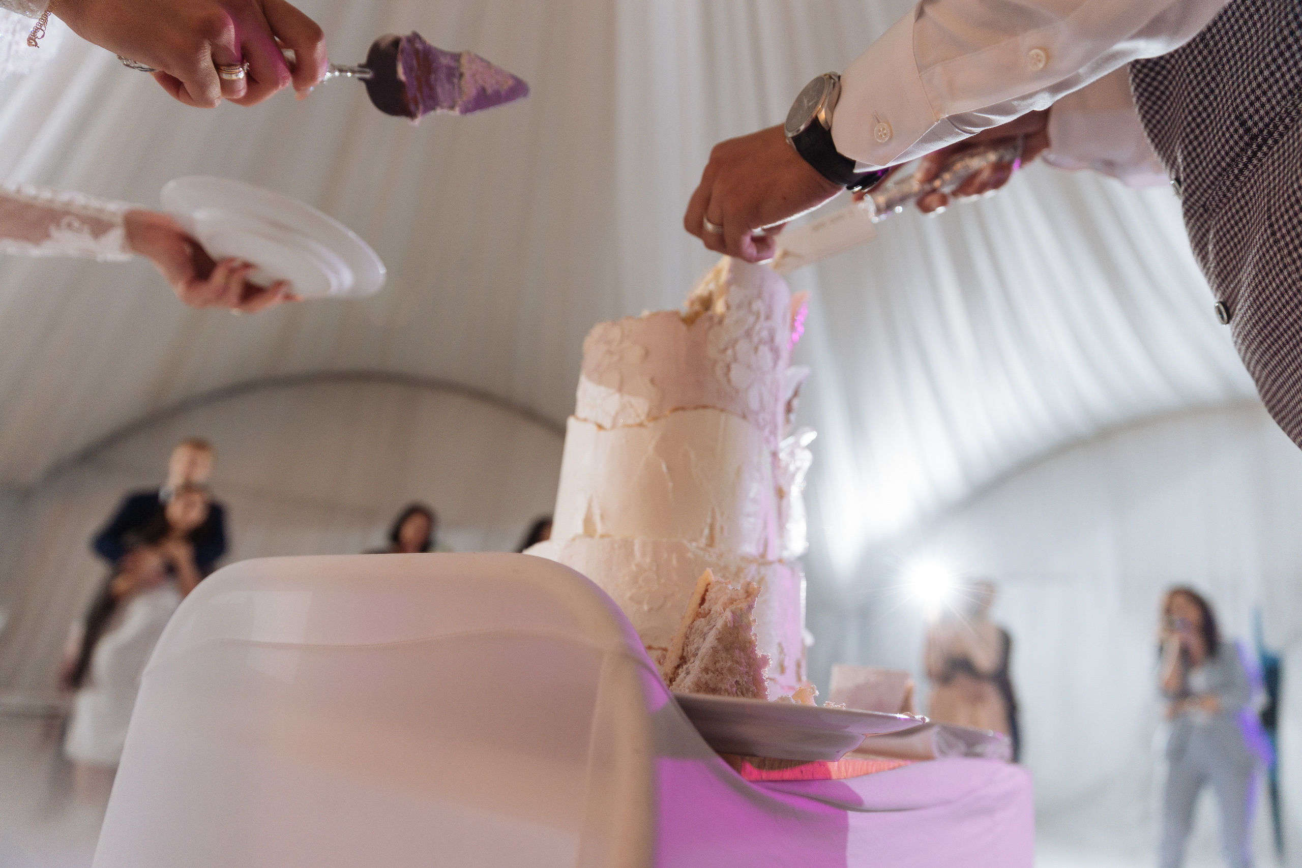 Она в своей стихии'19. Портфолио свадебного фотографа. Роман Каргаполов