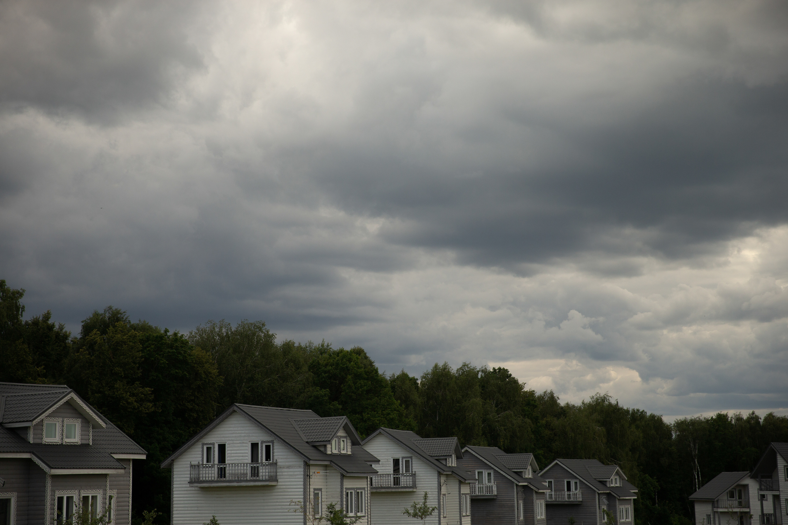 Она в своей стихии'19. Портфолио свадебного фотографа. Роман Каргаполов