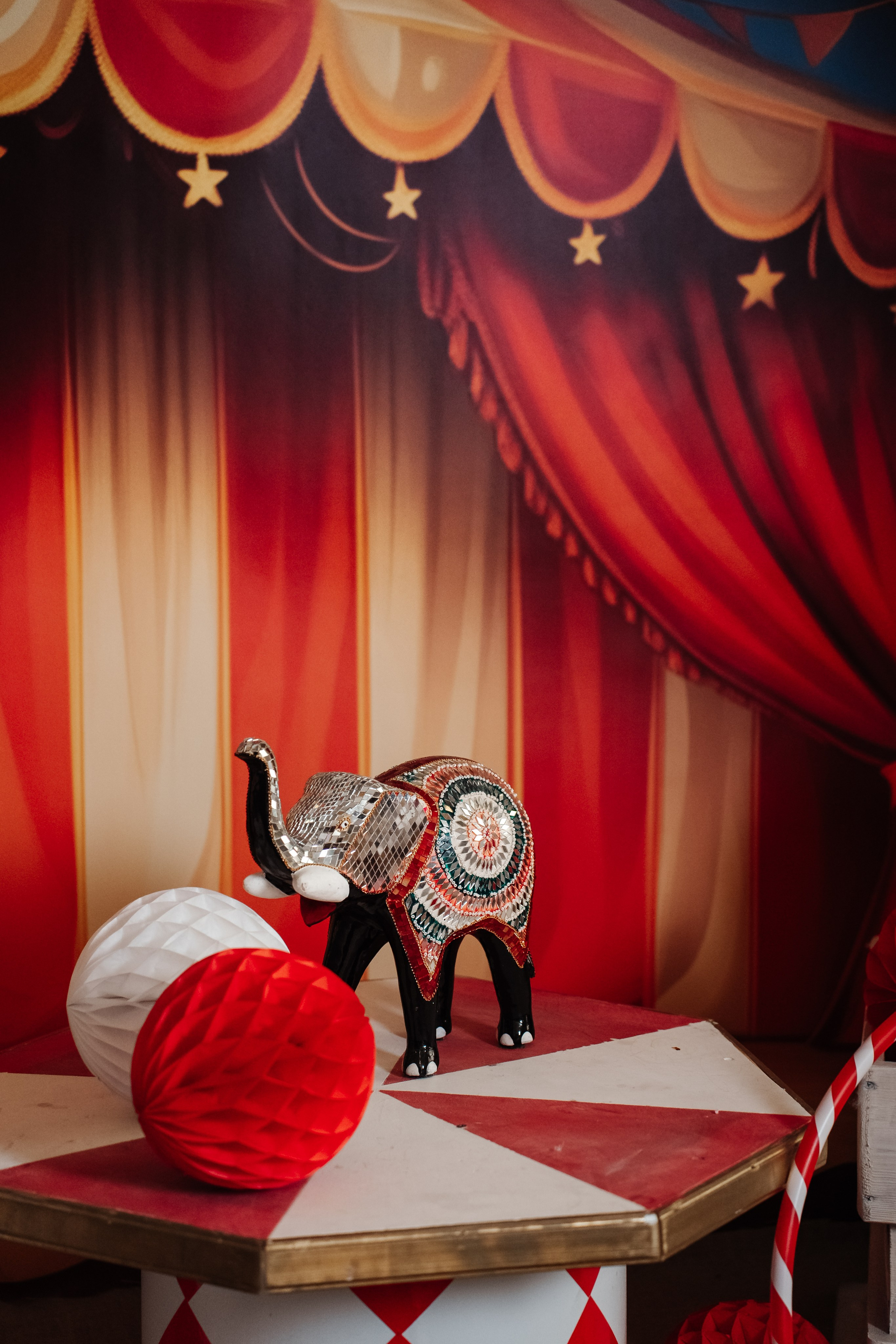 Фотостудия в центре СОЧИ, рядом с ТЦ МореМолл, все для фото и видео. Семейный фотограф в Сочи Лара Salut