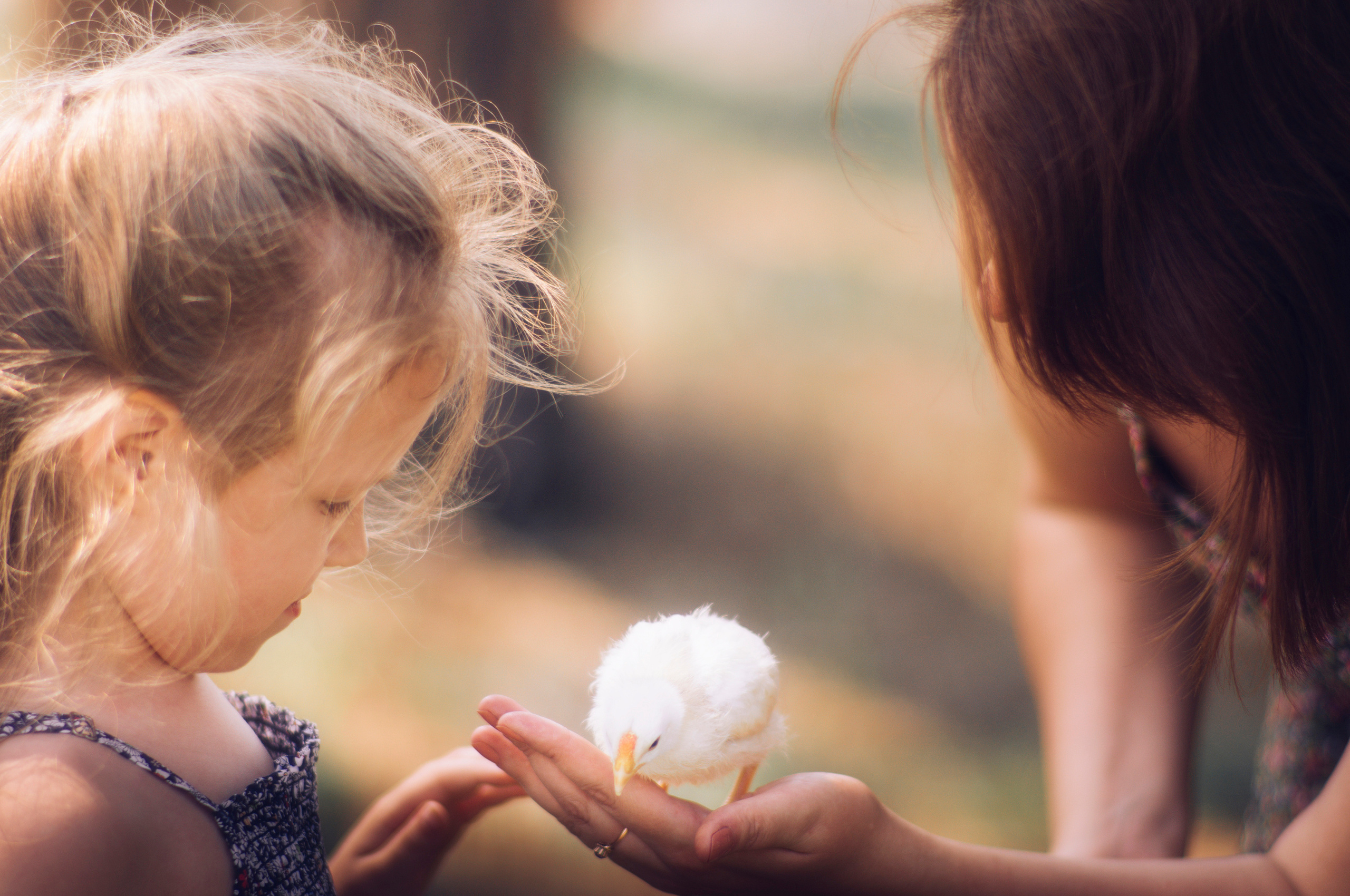 Семейная фотосъемка. Фотограф Катерина Тюрина. Саратов