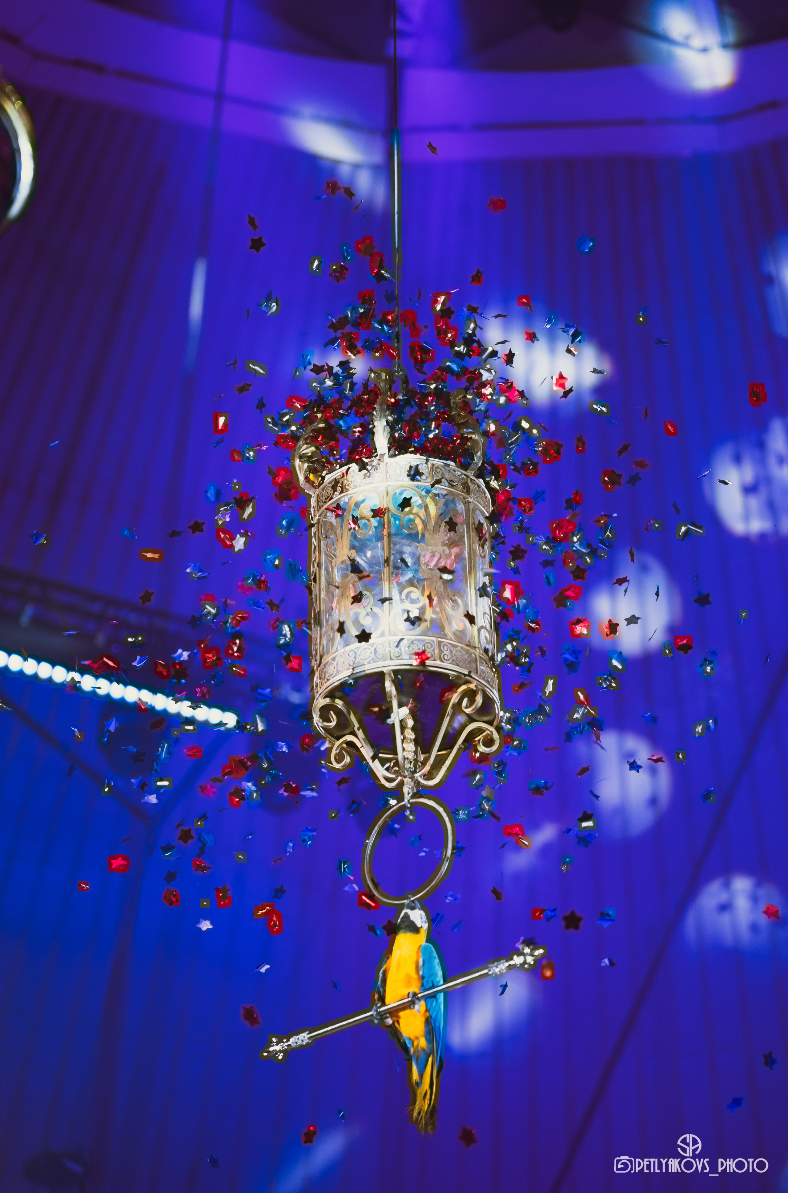 Пресс-конференция циркового шоу Гии Эрадзе «Бурлеск» (репортаж). Фотограф, видеограф Пятигорск, Ставрополь, Ессентуки, Petlyakovs_photo