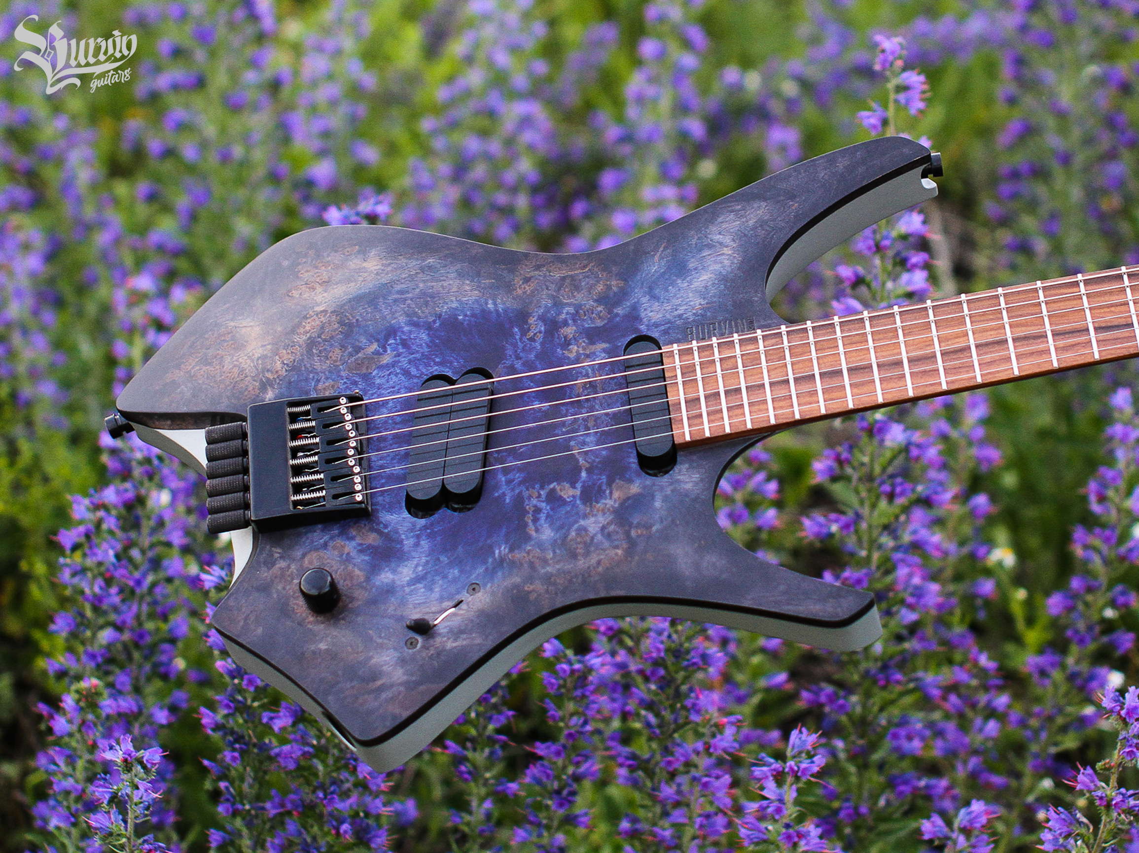 014 Decapitator. Master of making guitars and basses to order